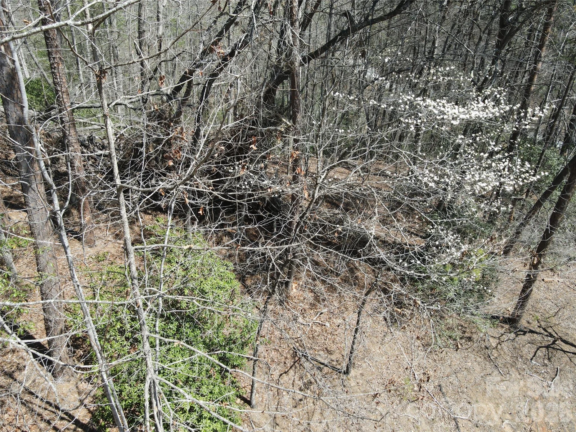 284 Oriole Drive - Photo 8