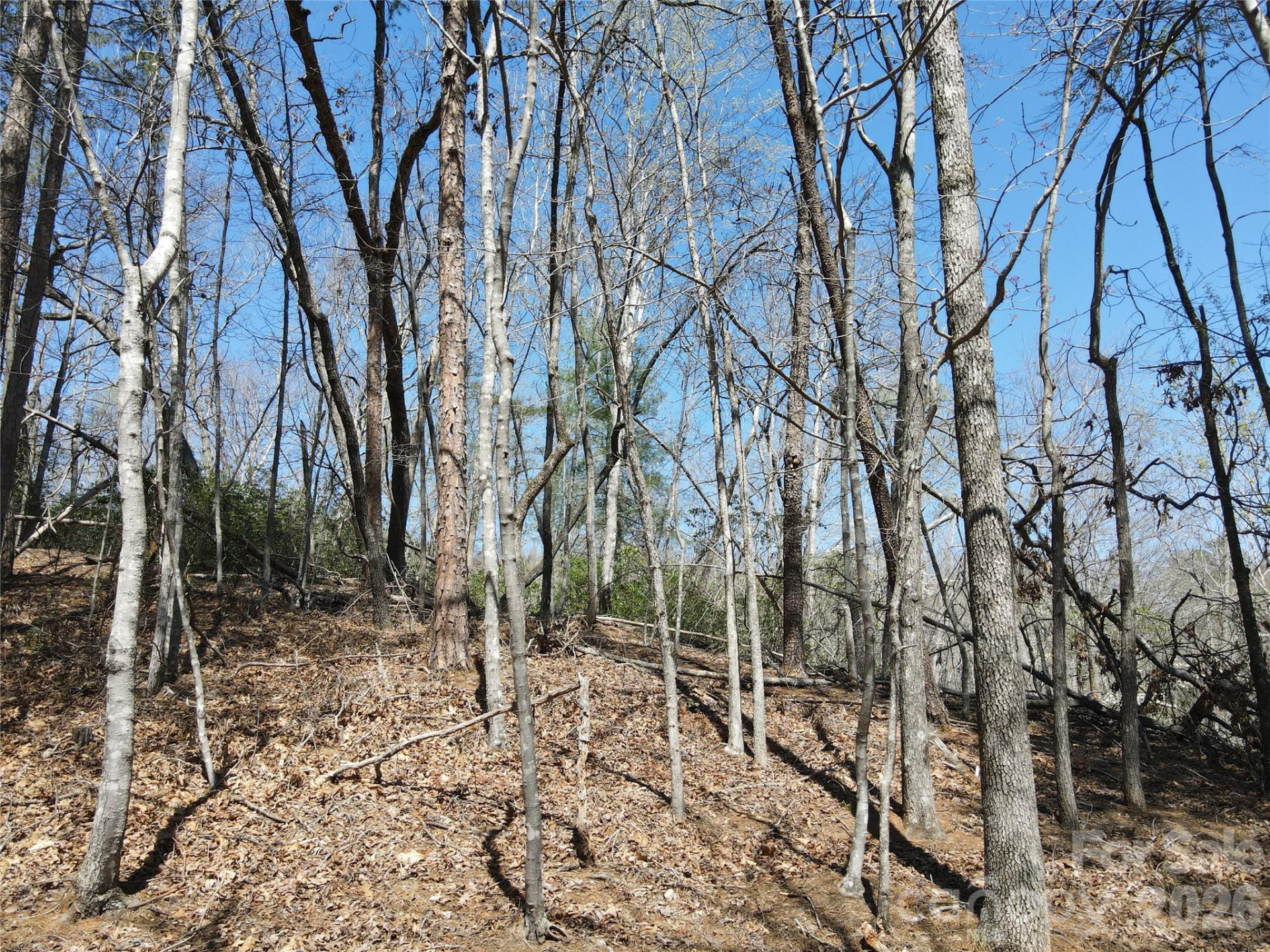 284 Oriole Drive - Photo 9