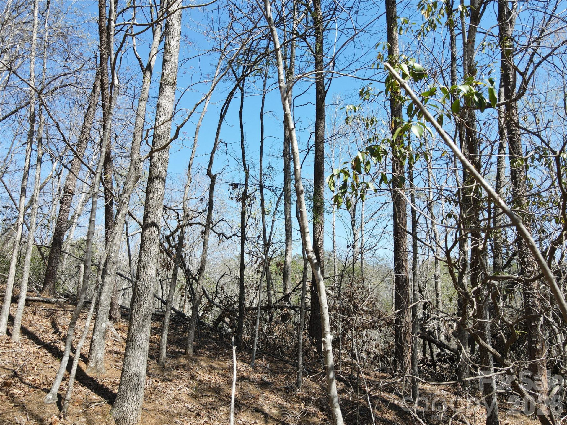 284 Oriole Drive - Photo 10