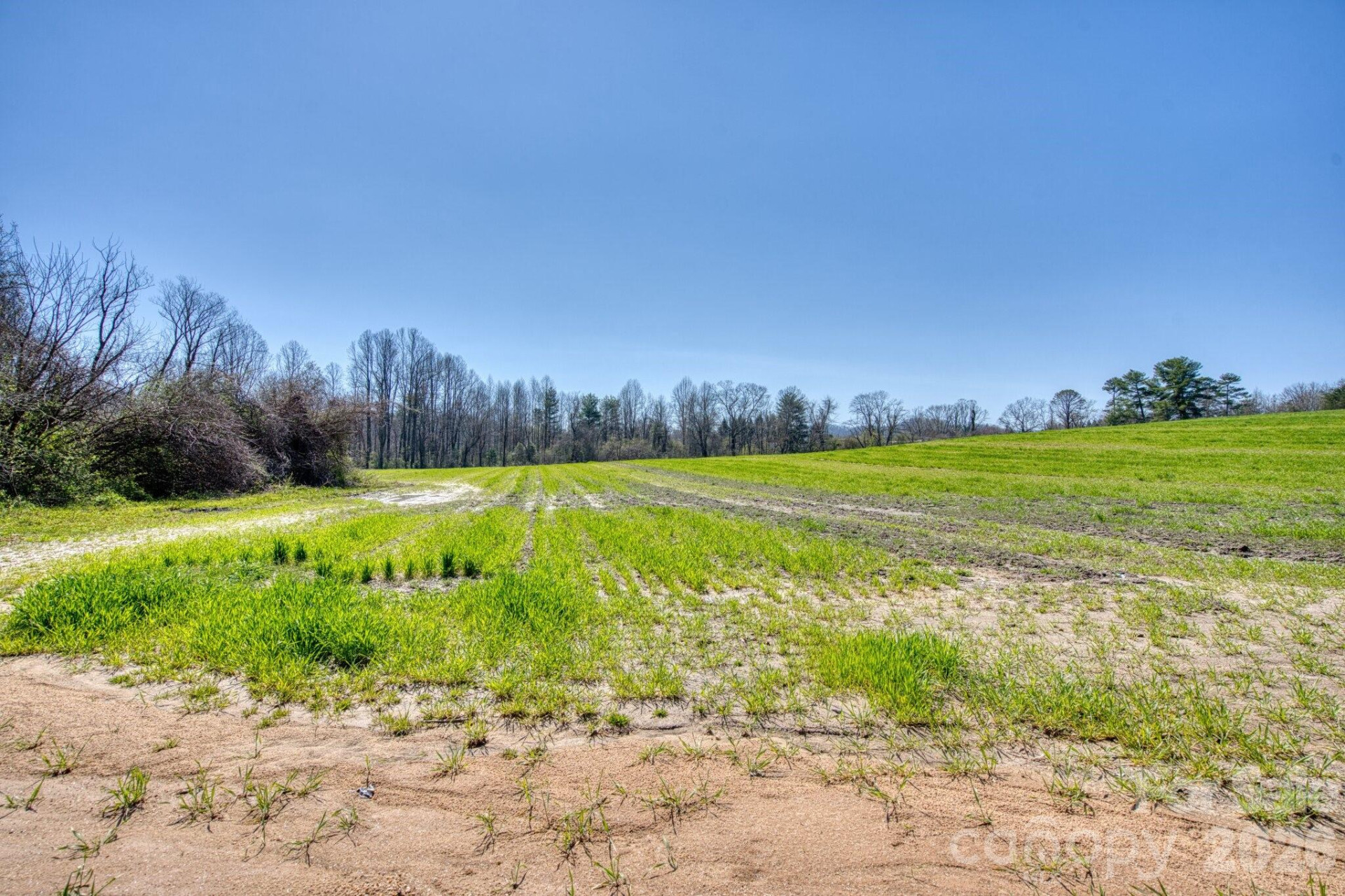 TBD Mohican Trail - Photo 2