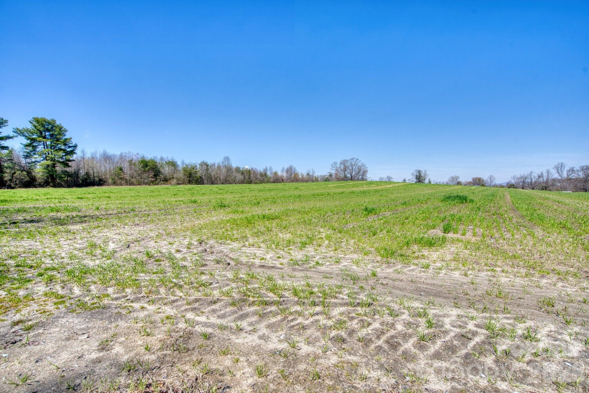 TBD Mohican Trail - Photo 13
