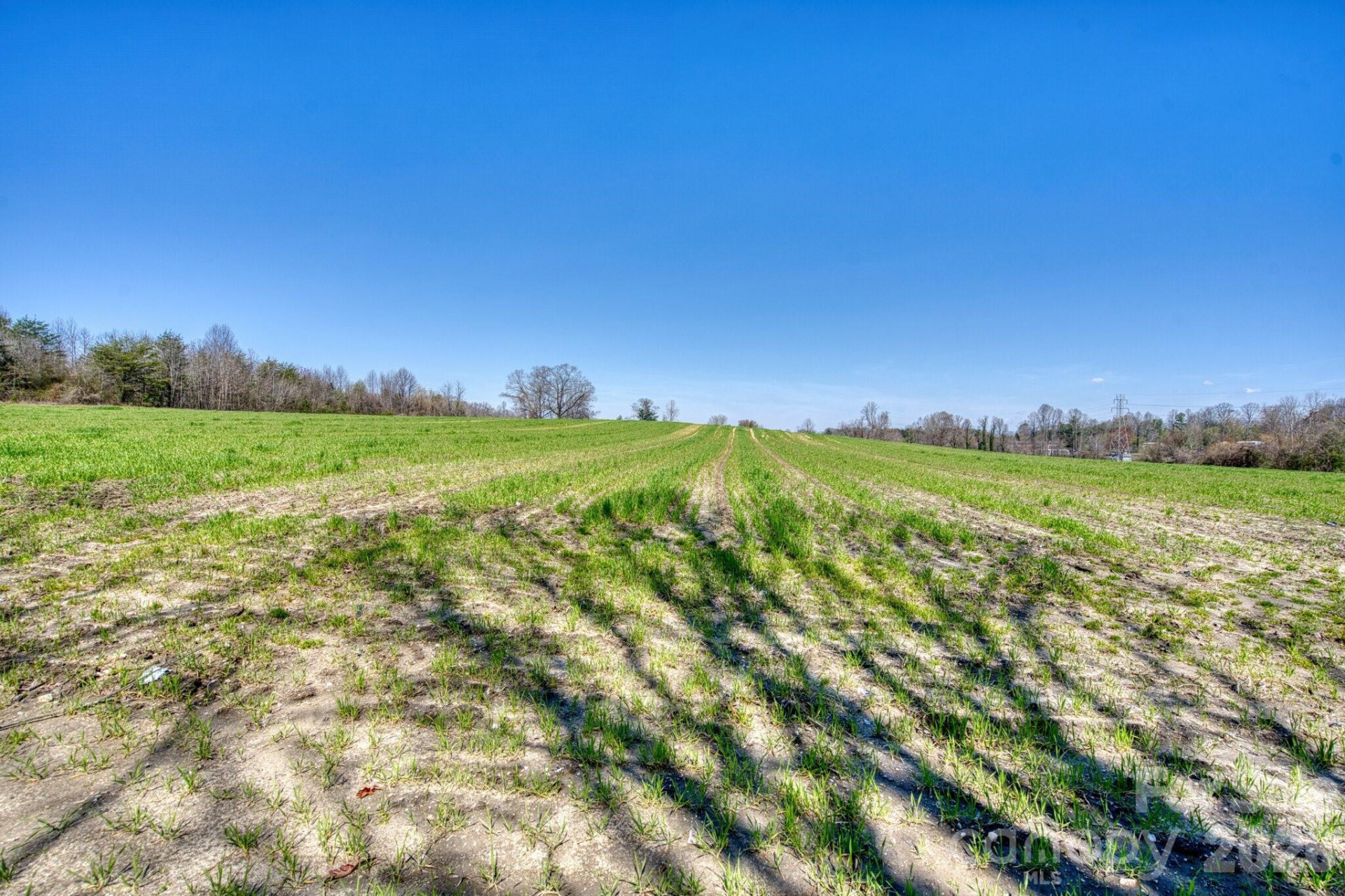 TBD Mohican Trail - Photo 14