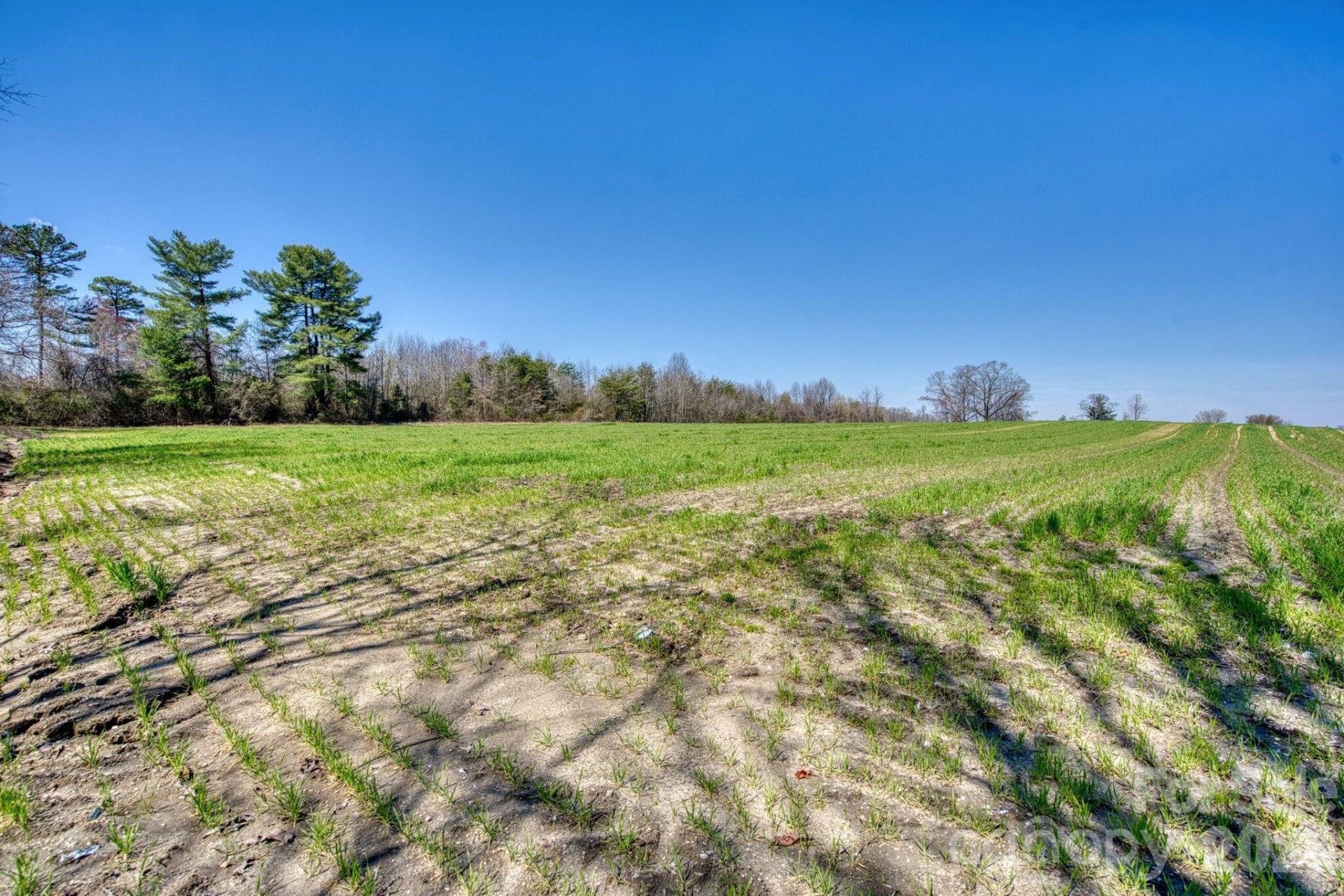 TBD Mohican Trail - Photo 15