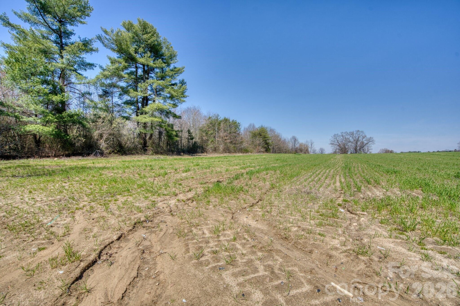 TBD Mohican Trail - Photo 17