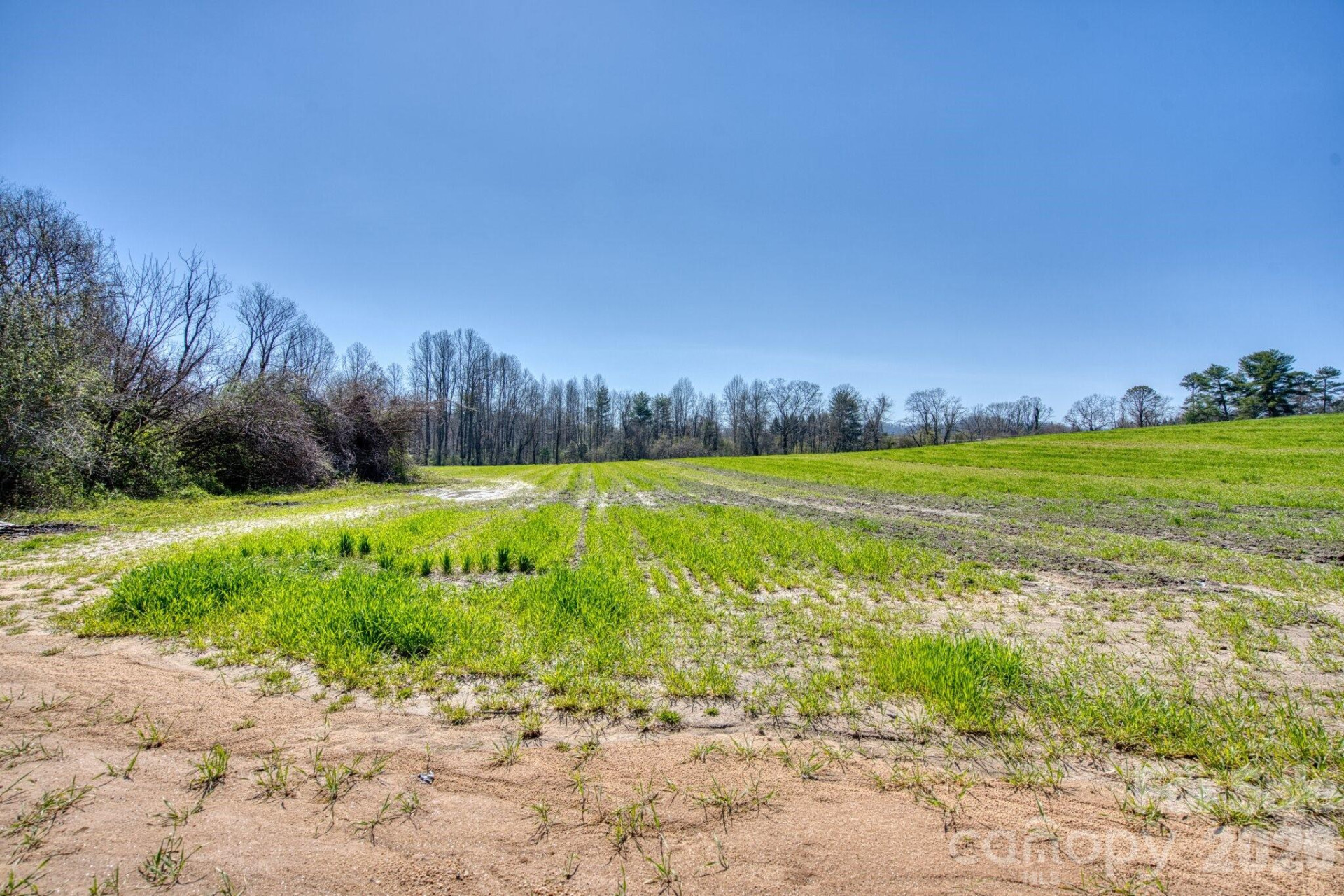TBD Mohican Trail - Photo 3