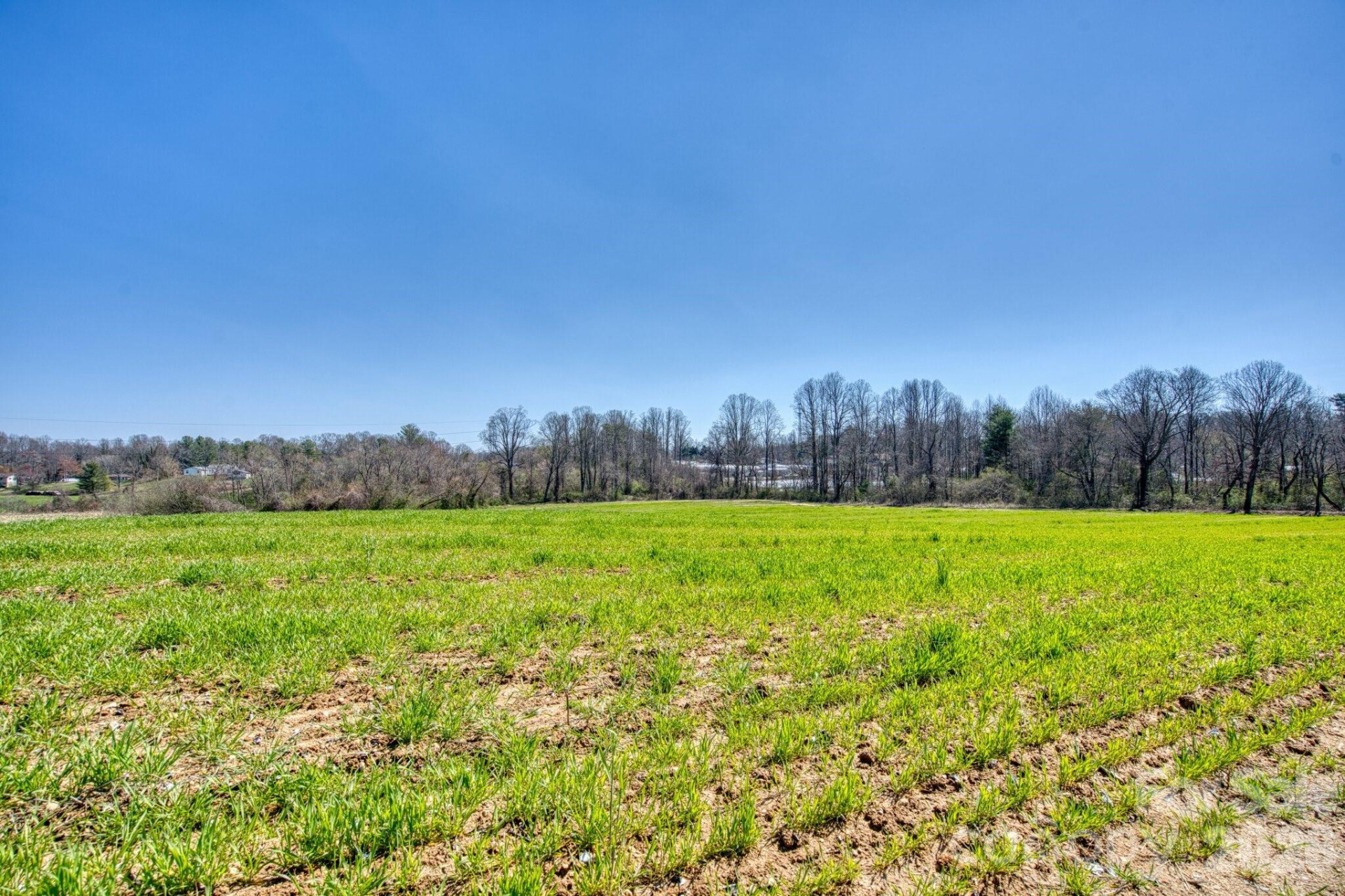 TBD Mohican Trail - Photo 21