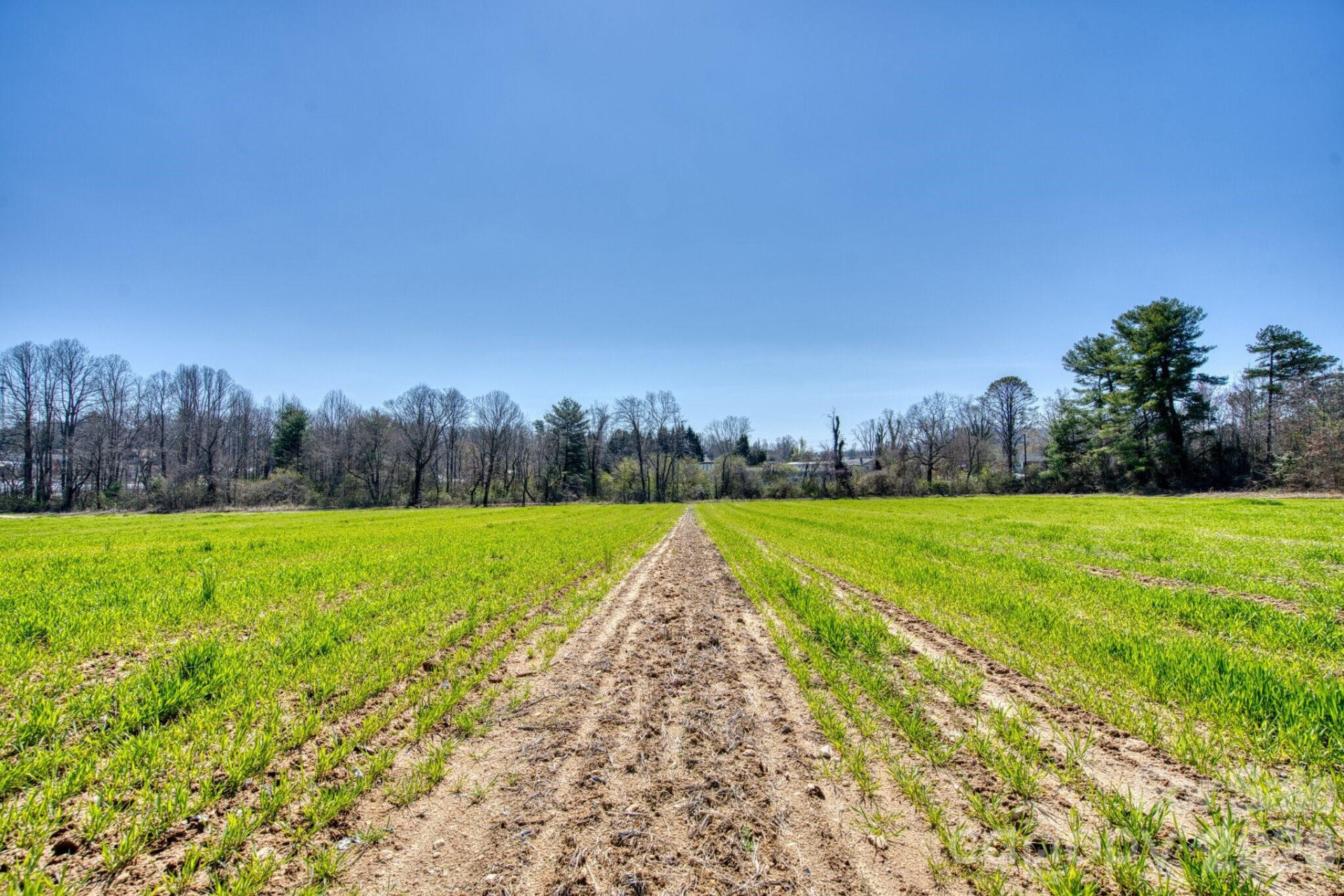 TBD Mohican Trail - Photo 22