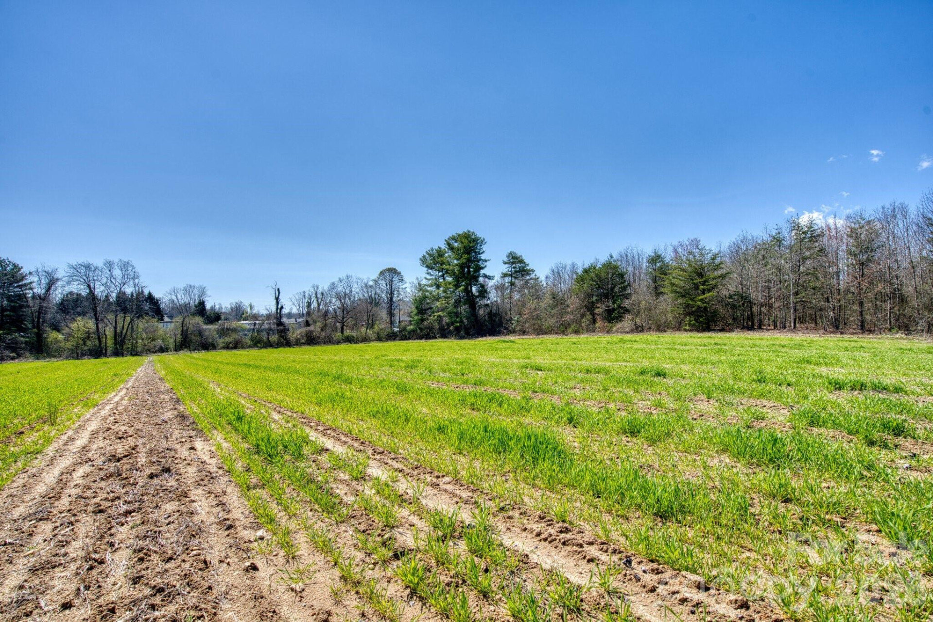 TBD Mohican Trail - Photo 23