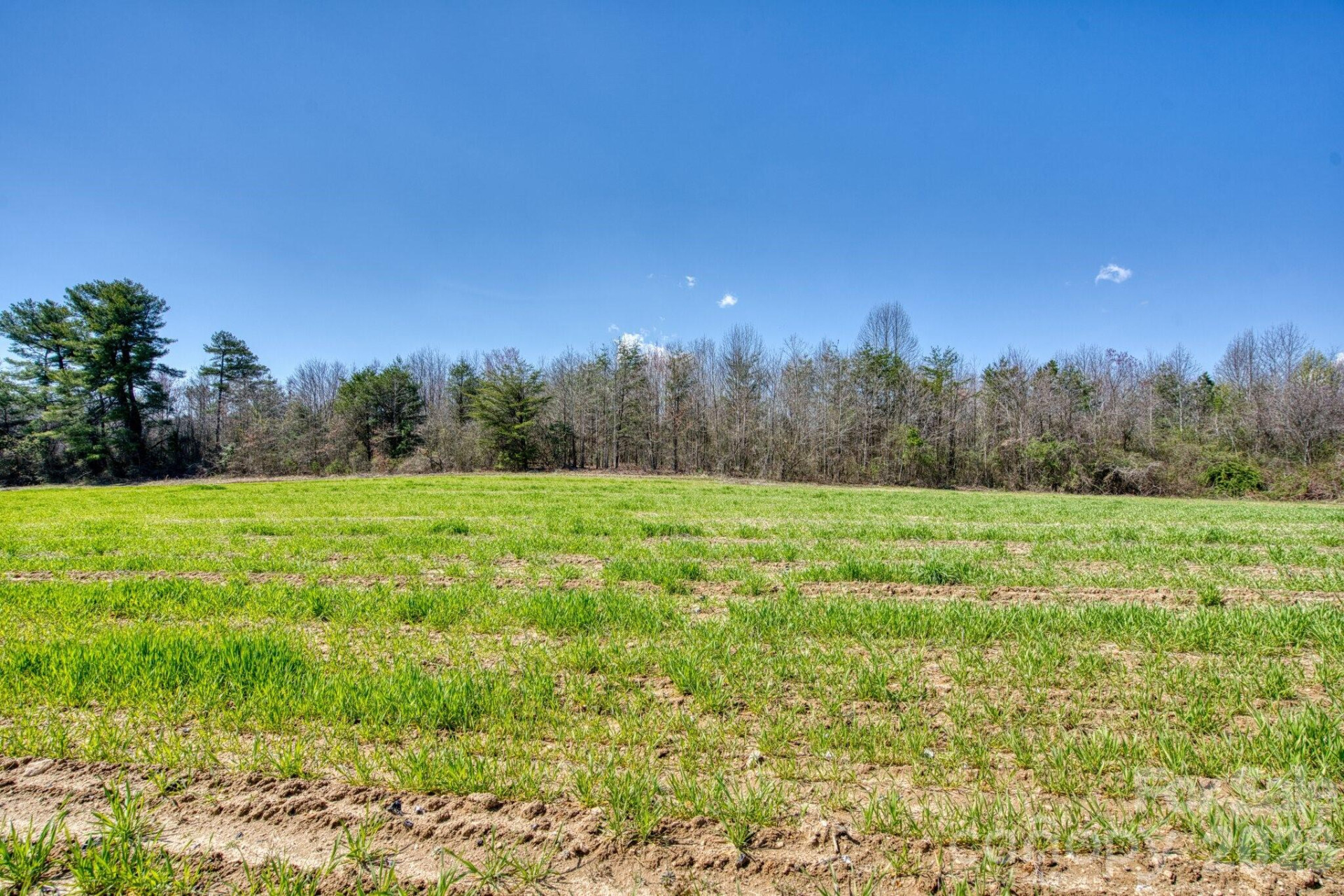 TBD Mohican Trail - Photo 24