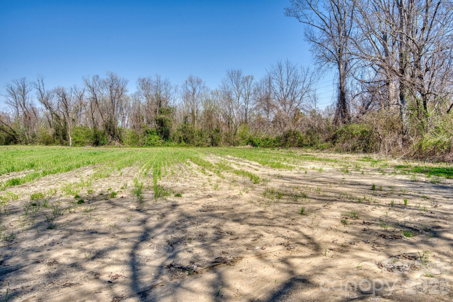 TBD Mohican Trail - Photo 10