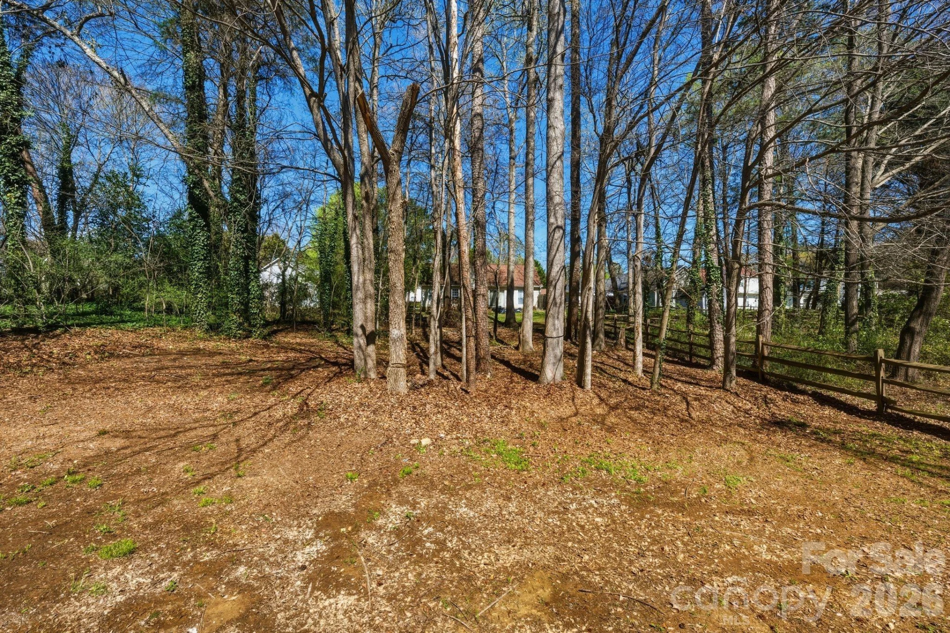 10122 Northwoods Forest Drive - Photo 33