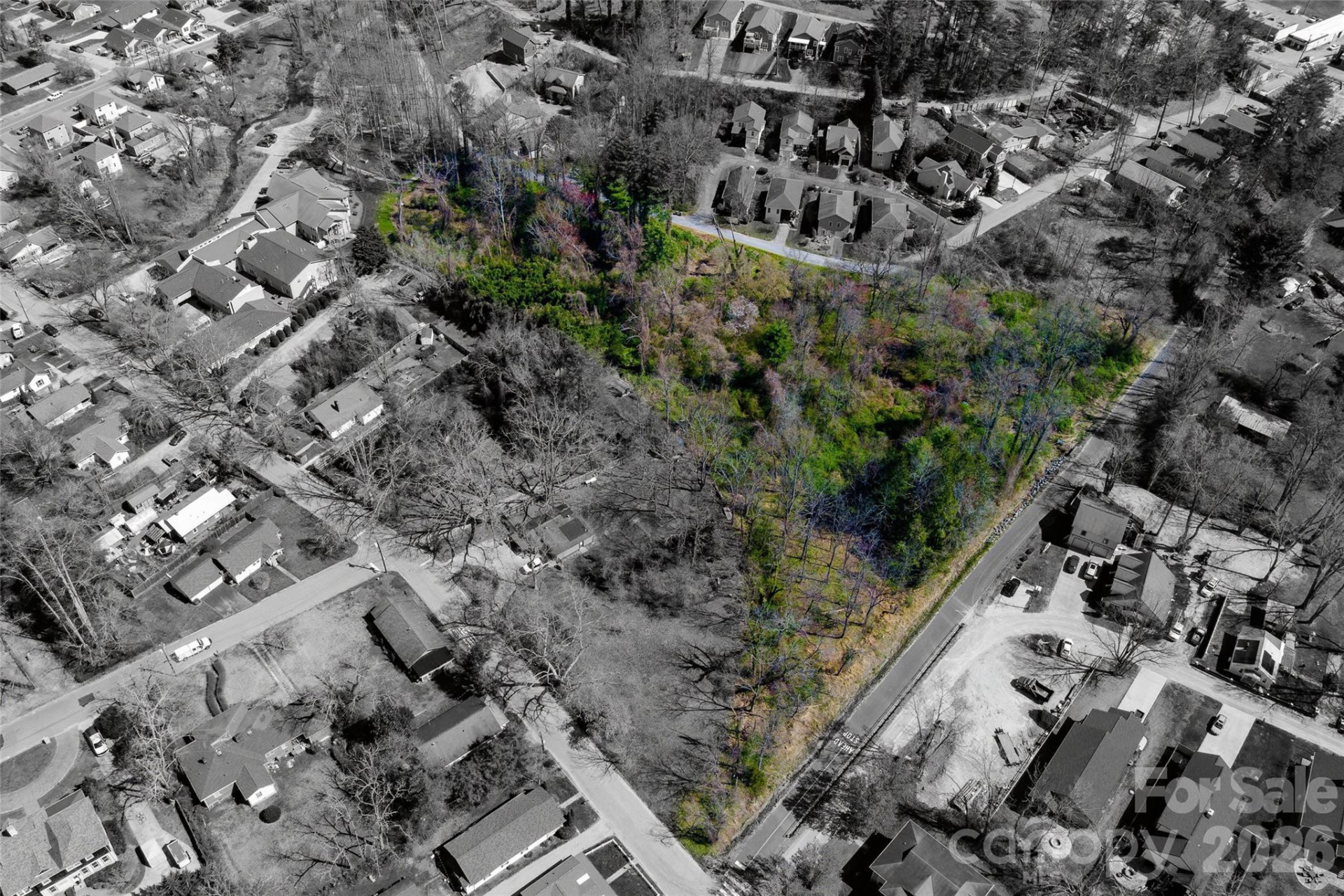 TBD Toms Hill Drive - Photo 2