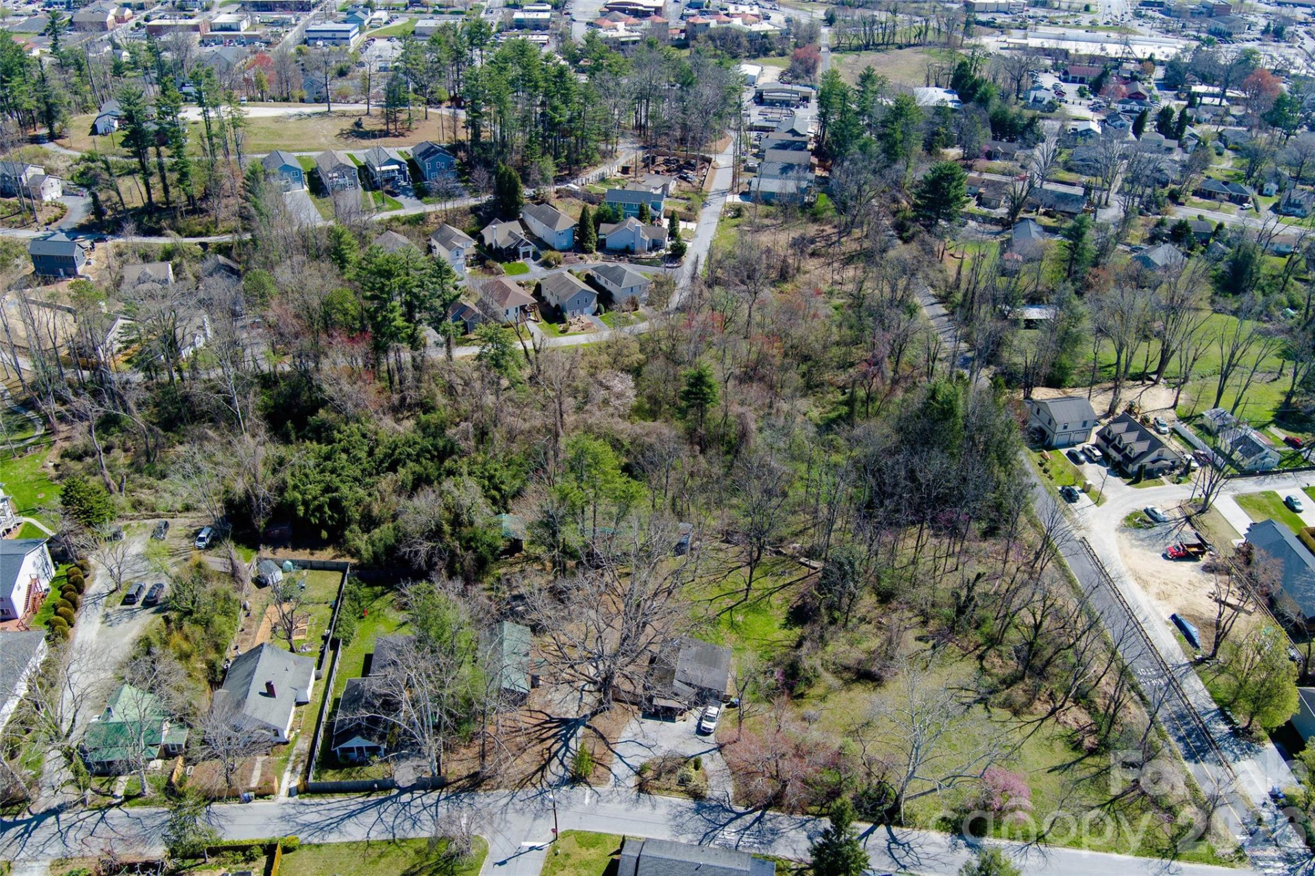 TBD Toms Hill Drive - Photo 11