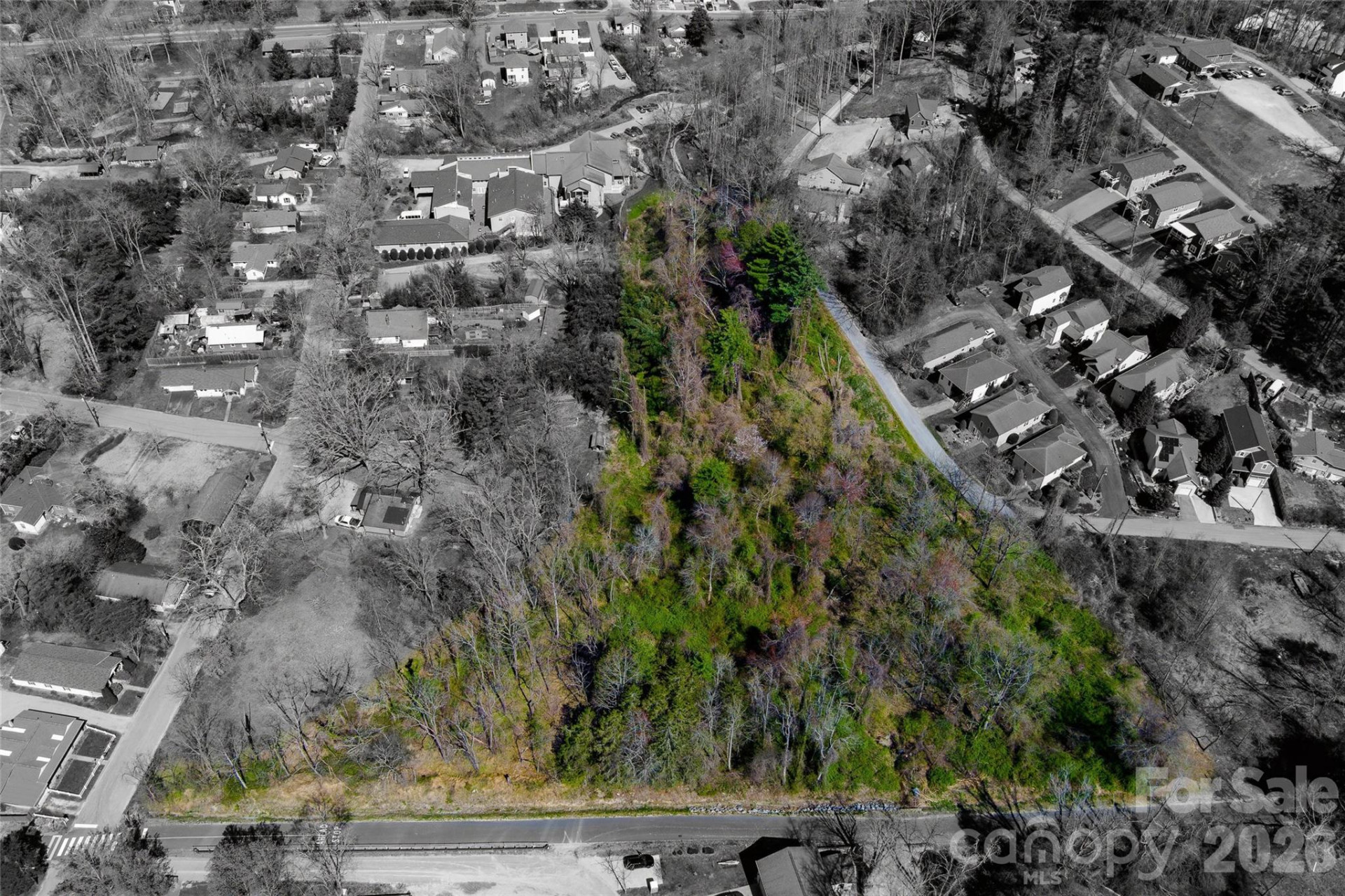 TBD Toms Hill Drive - Photo 12