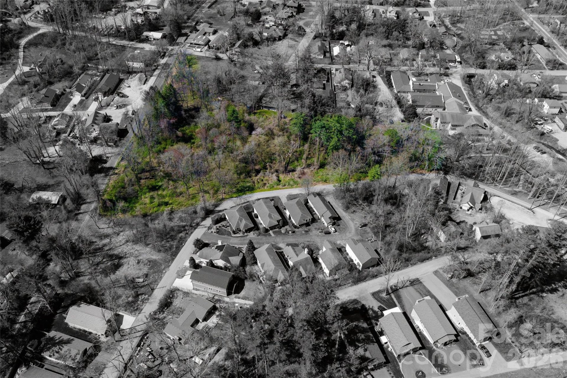 TBD Toms Hill Drive - Photo 14