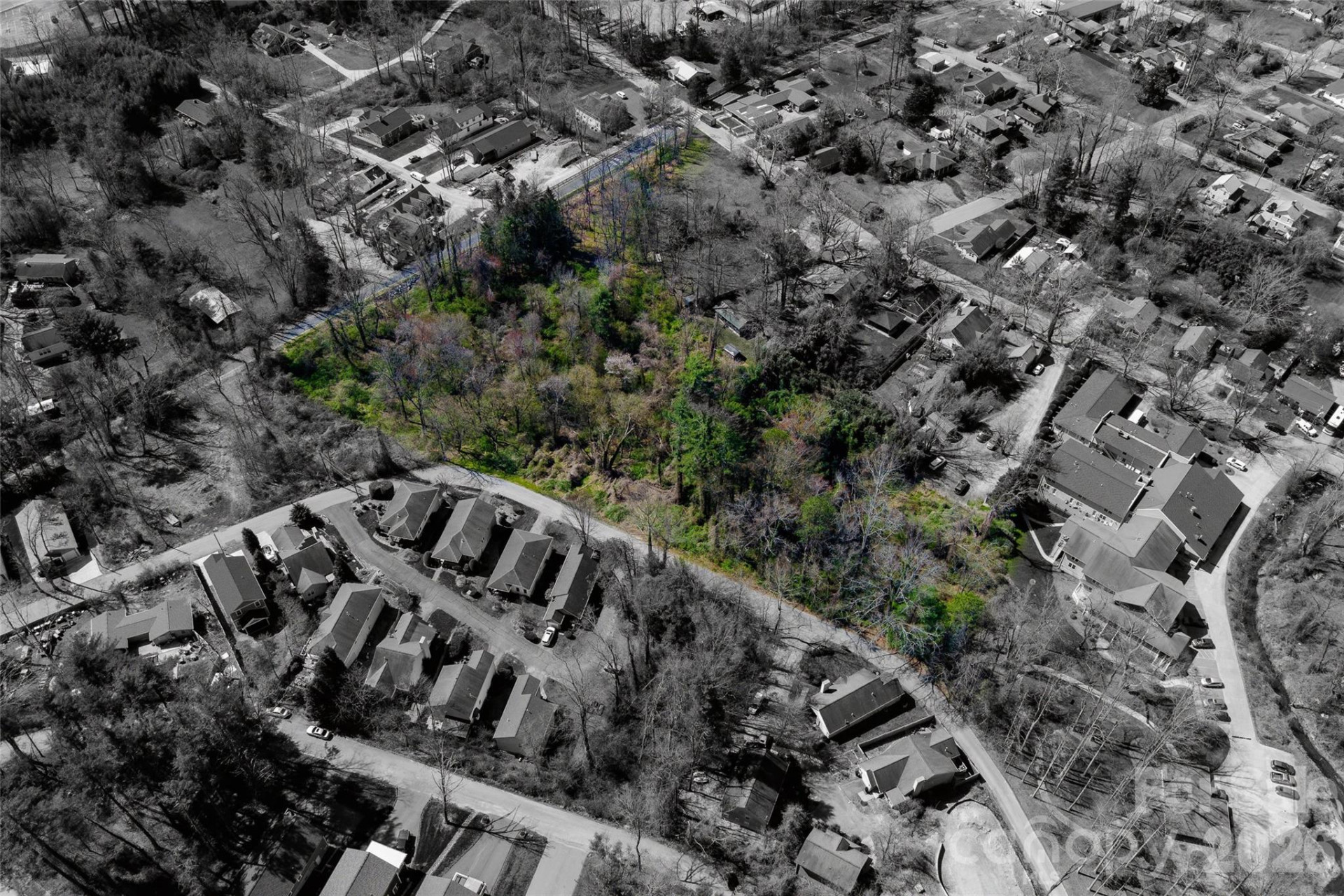 TBD Toms Hill Drive - Photo 16