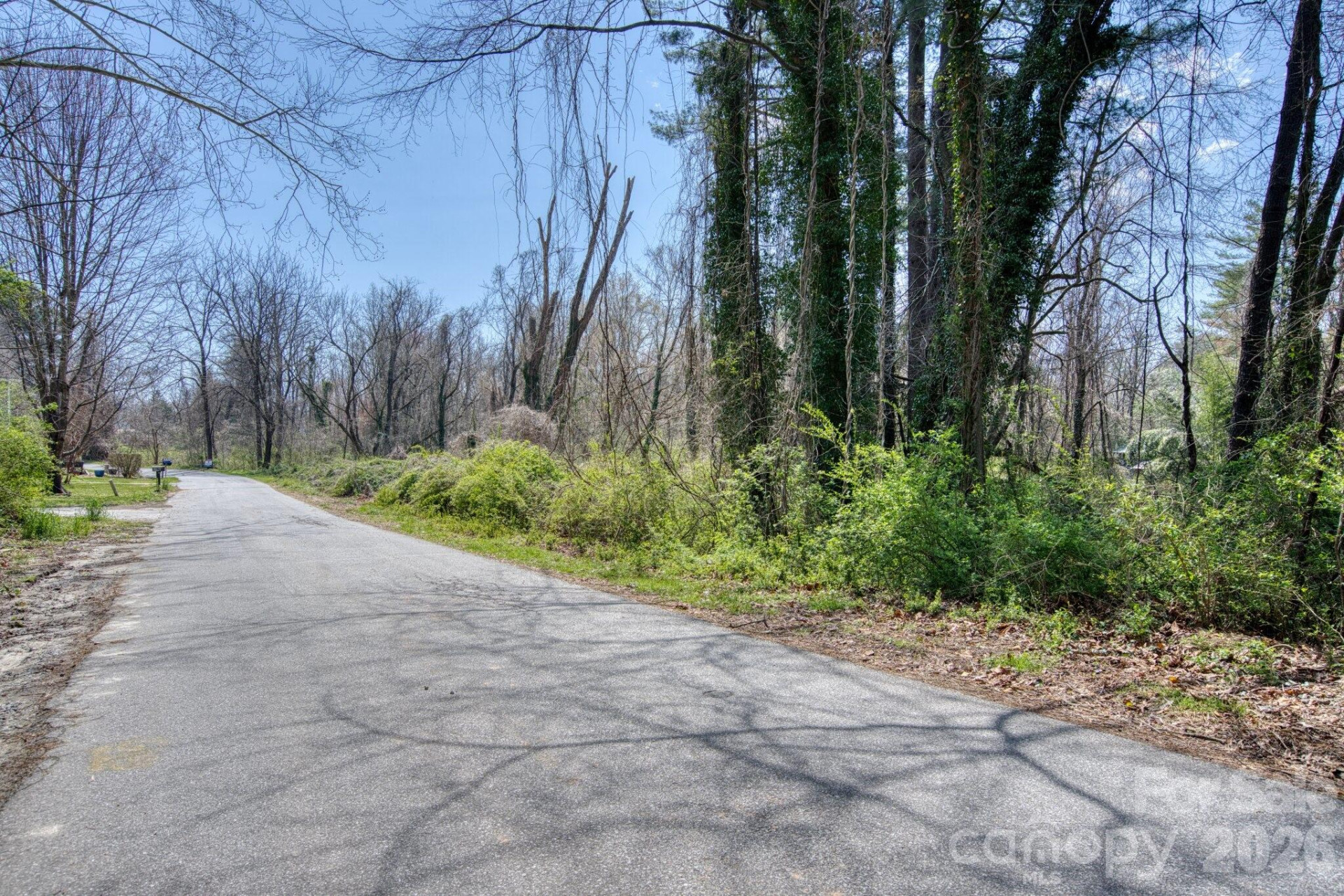 TBD Toms Hill Drive - Photo 4