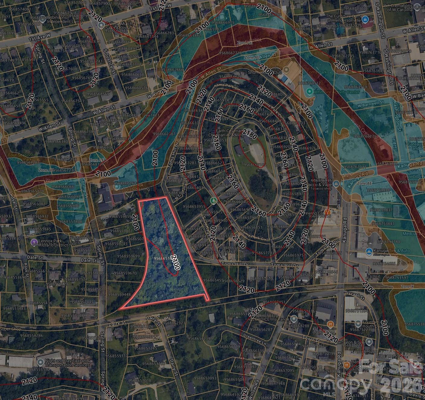 TBD Toms Hill Drive - Photo 5