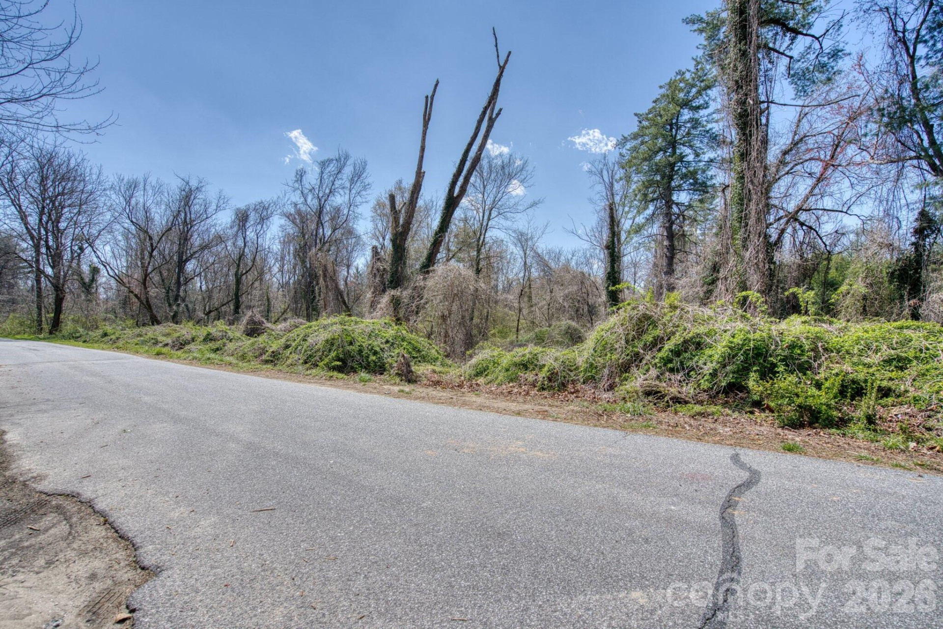 TBD Toms Hill Drive - Photo 6