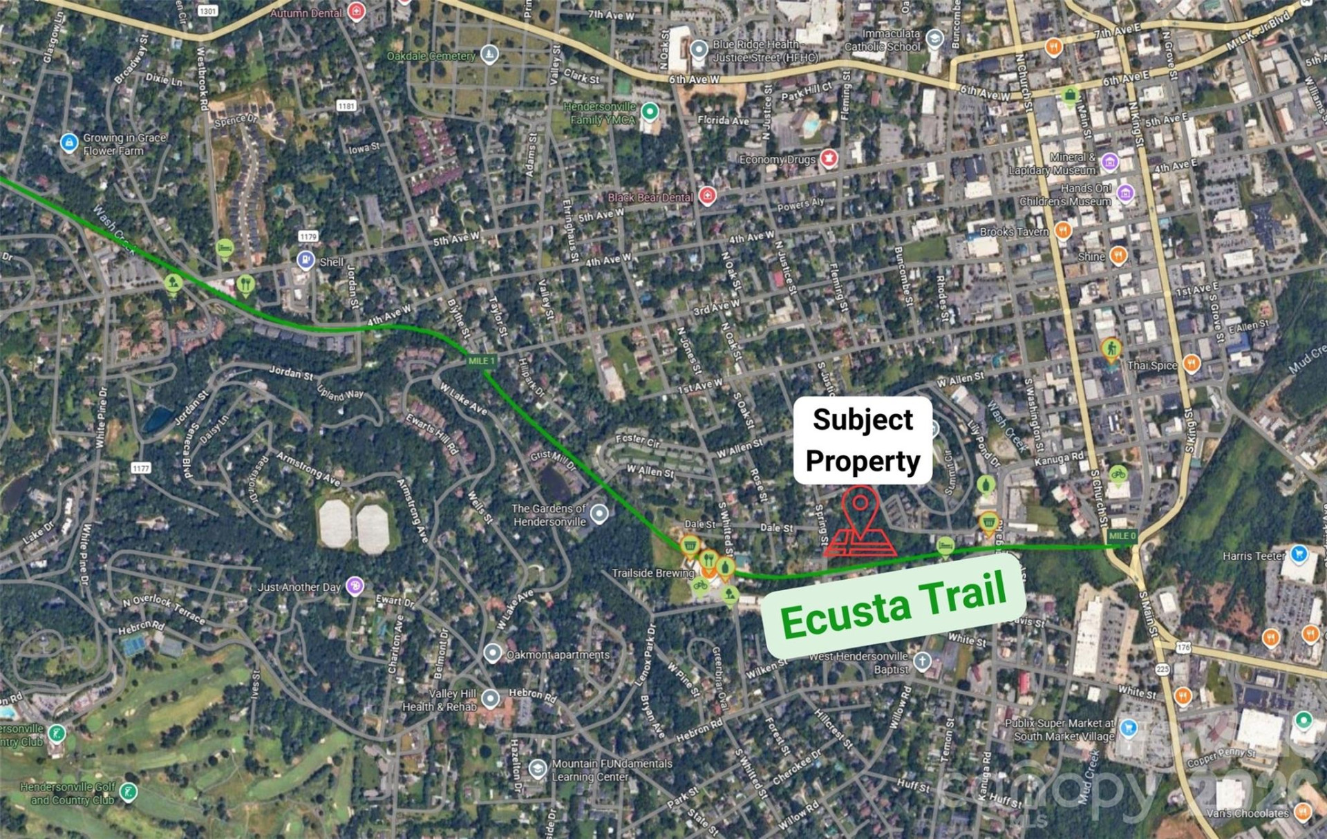 TBD Toms Hill Drive - Photo 7