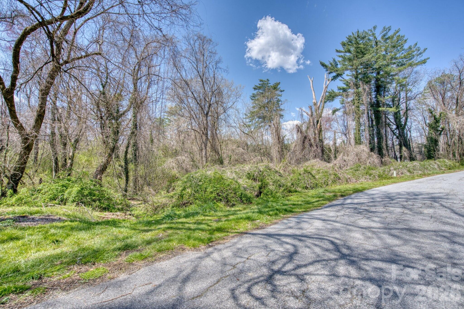 TBD Toms Hill Drive - Photo 8