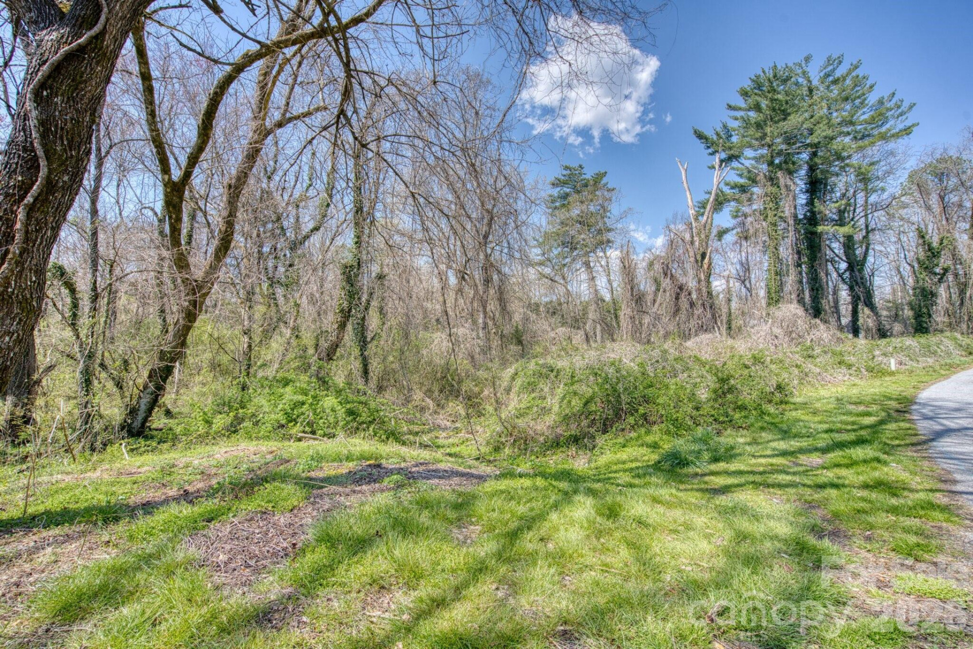 TBD Toms Hill Drive - Photo 9