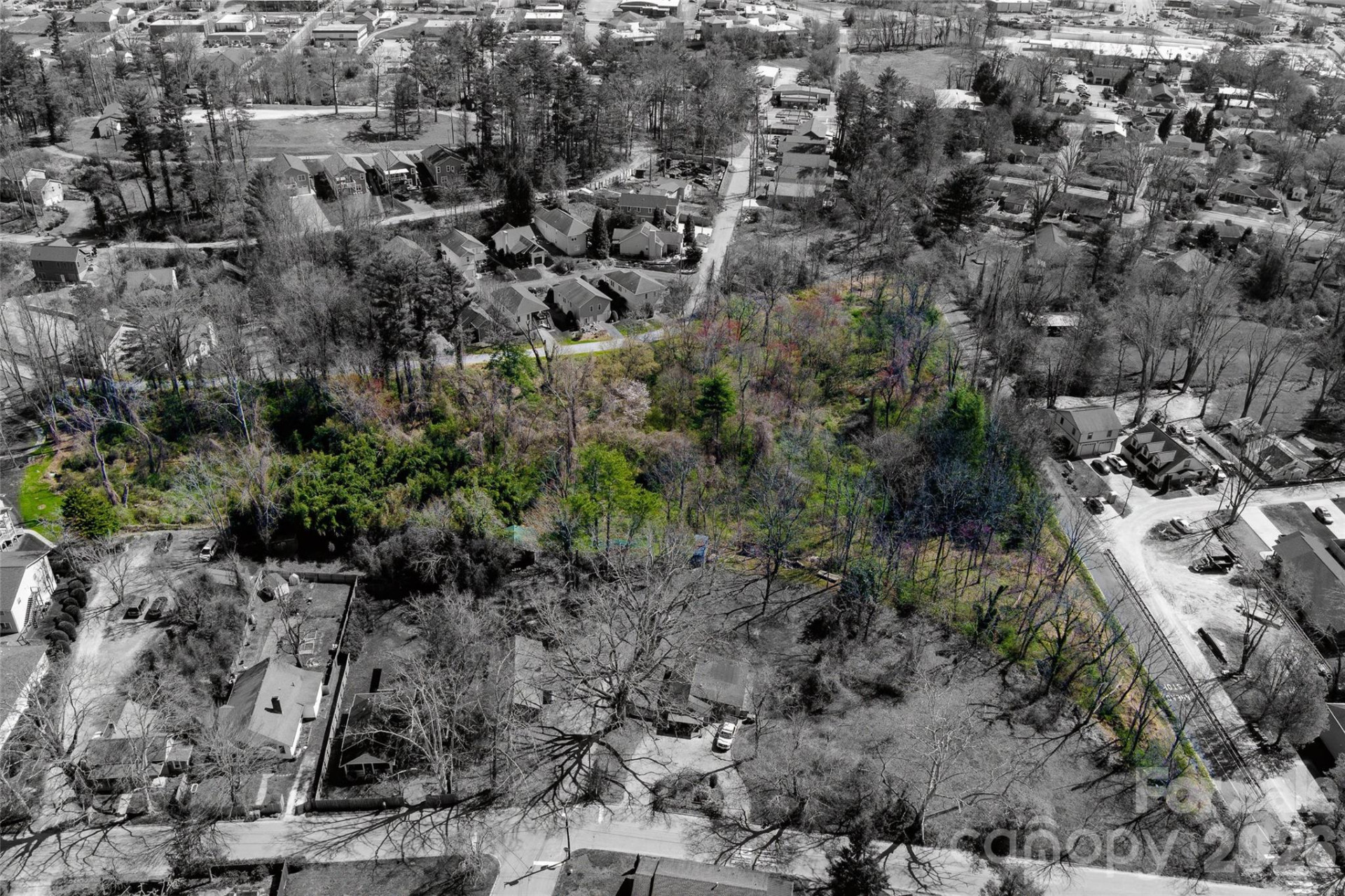 TBD Toms Hill Drive - Photo 10