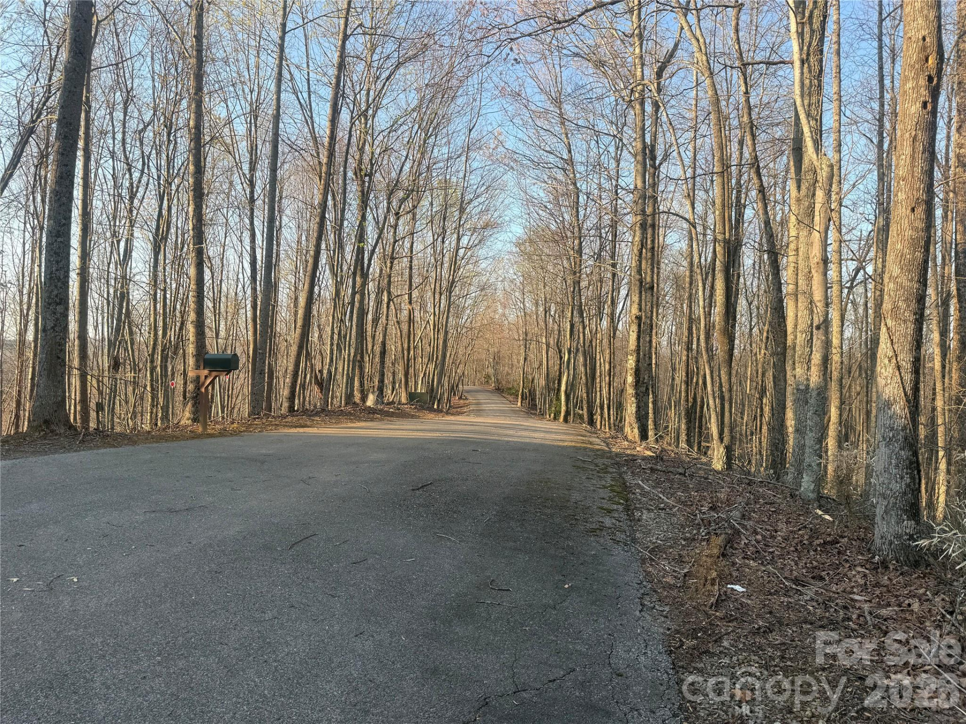 476 Double Eagle Drive - Photo 38