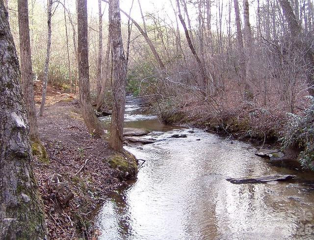 476 Double Eagle Drive - Photo 47