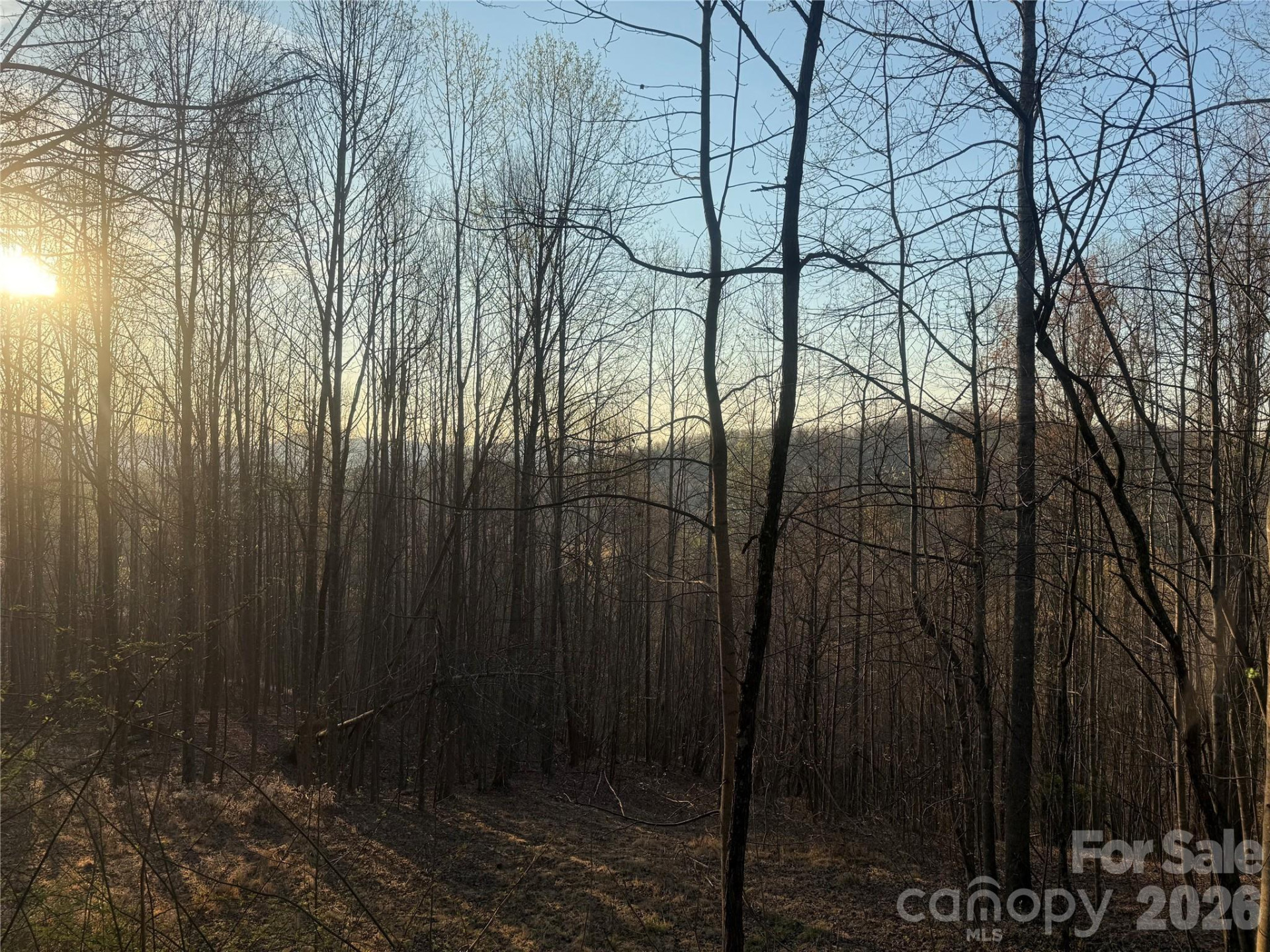 476 Double Eagle Drive - Photo 12