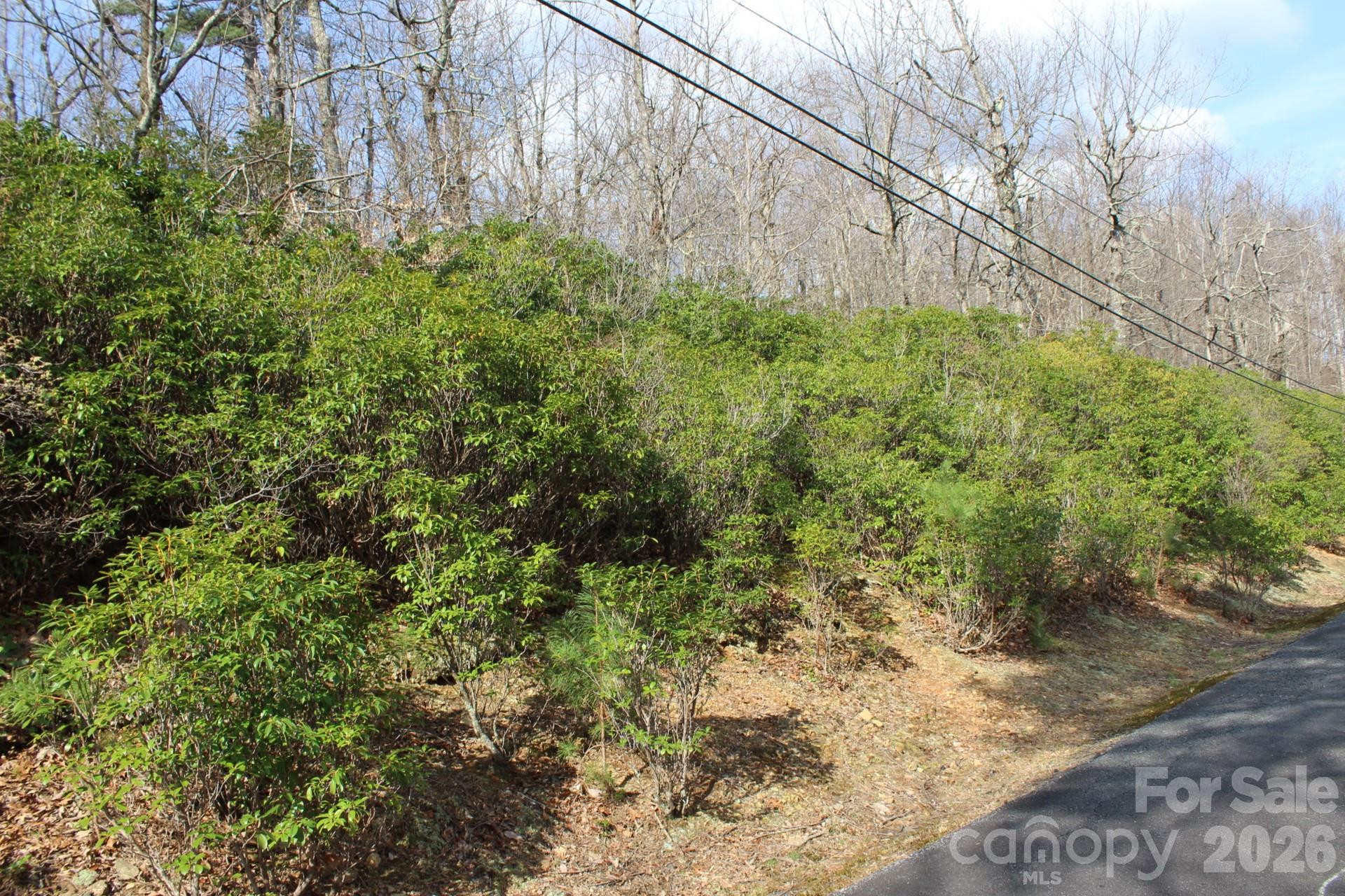 Lot 9 Sunset Ridge Drive #9 - Photo 19