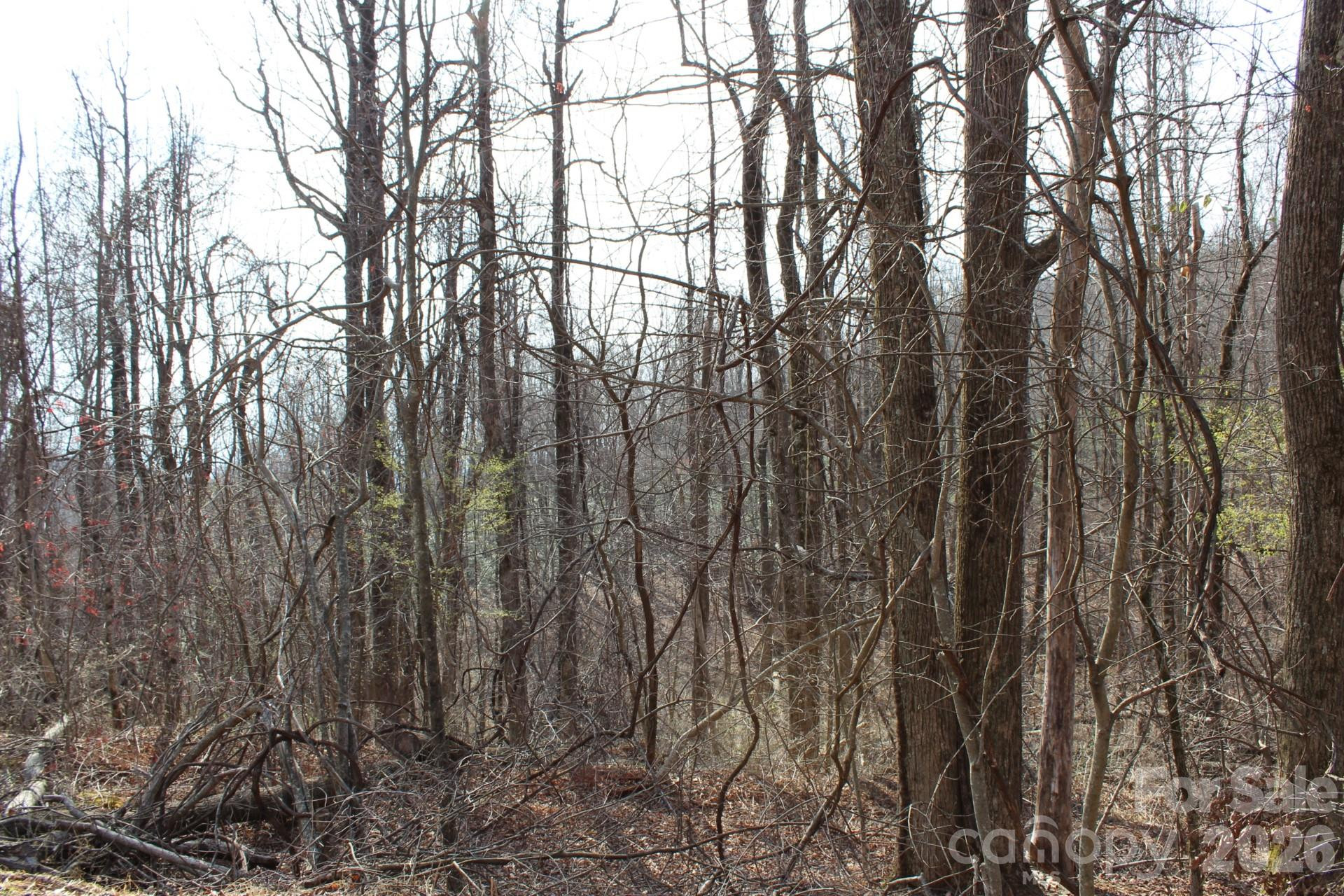 Lot 20 Sunset Ridge Drive #20 - Photo 15