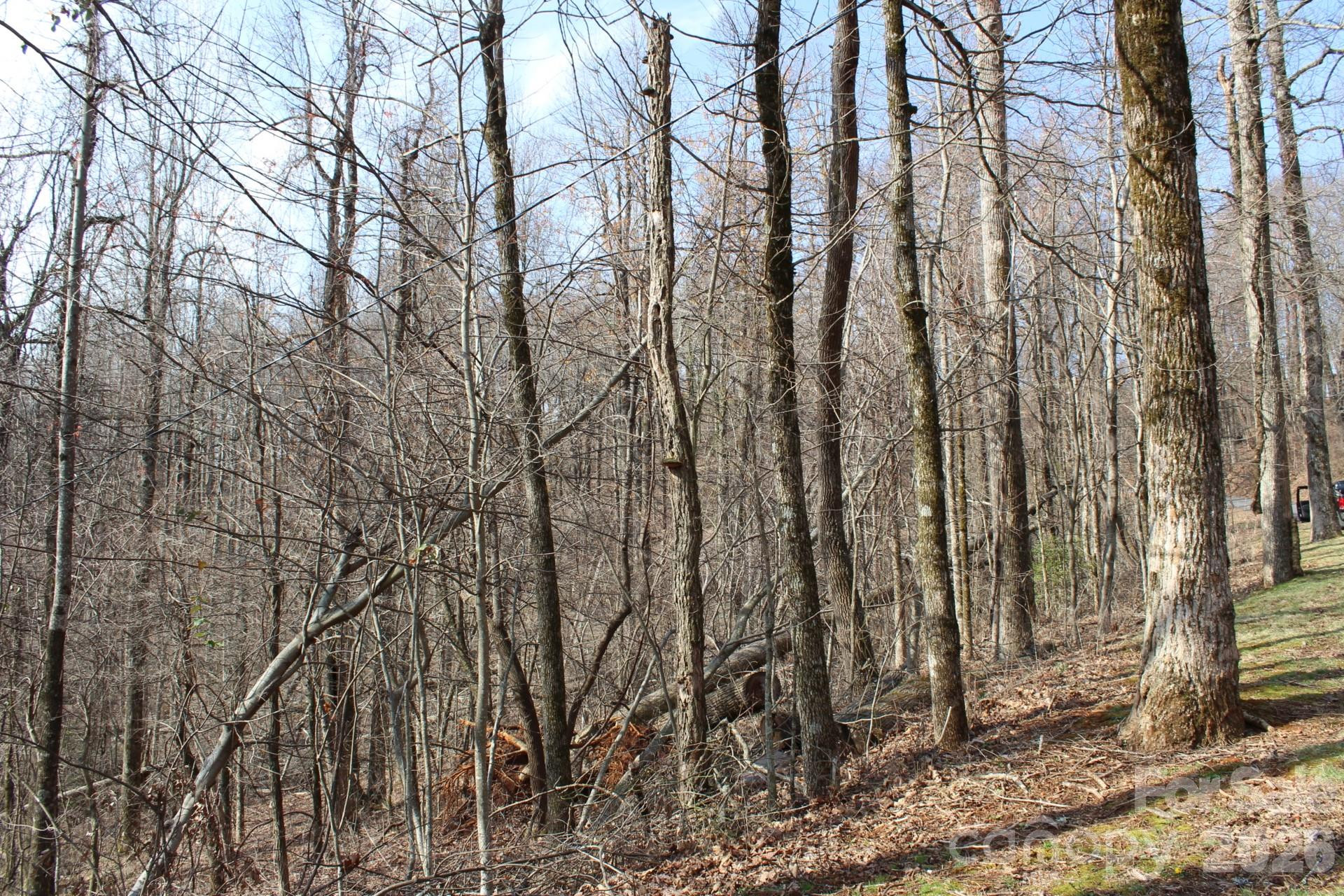 Lot 20 Sunset Ridge Drive #20 - Photo 16