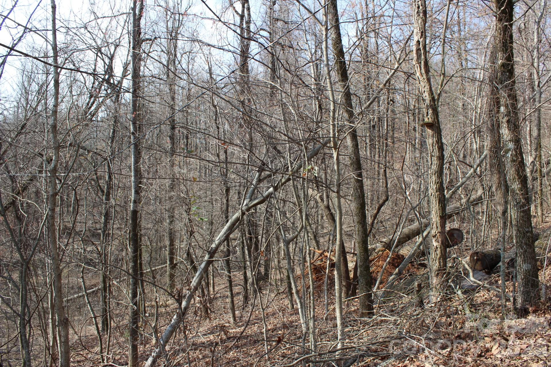 Lot 20 Sunset Ridge Drive #20 - Photo 17