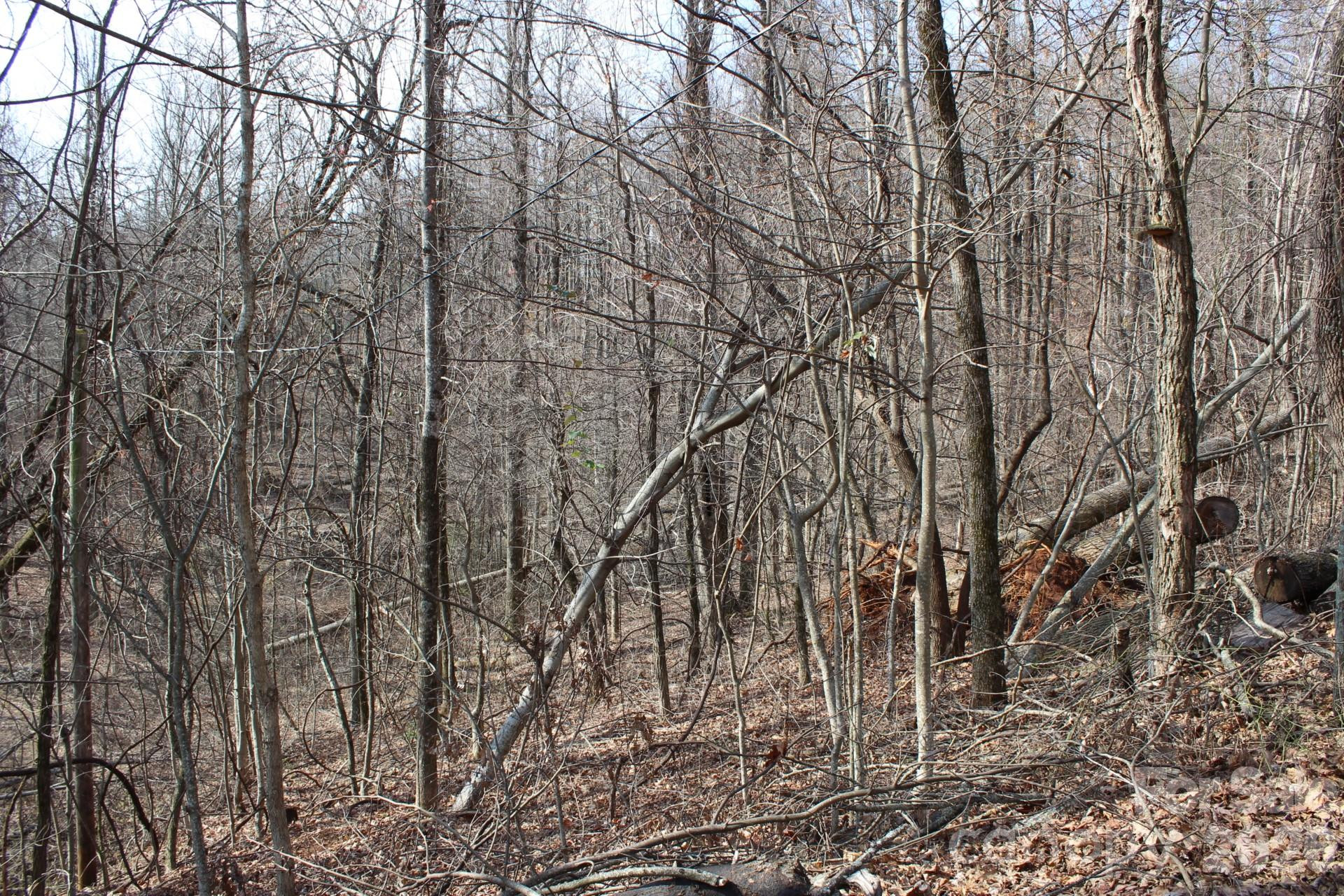 Lot 20 Sunset Ridge Drive #20 - Photo 18