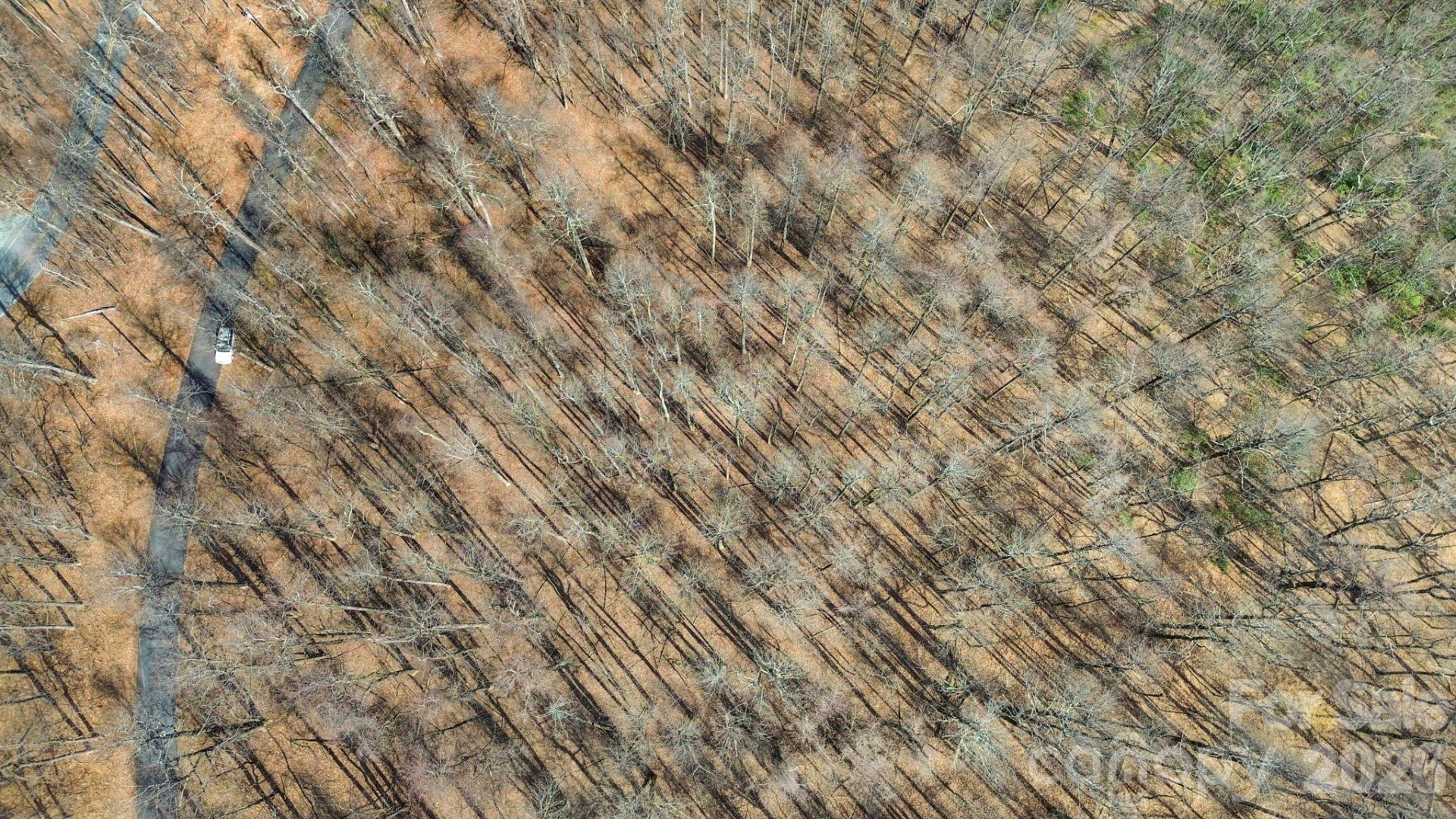 Lot 20 Sunset Ridge Drive #20 - Photo 4