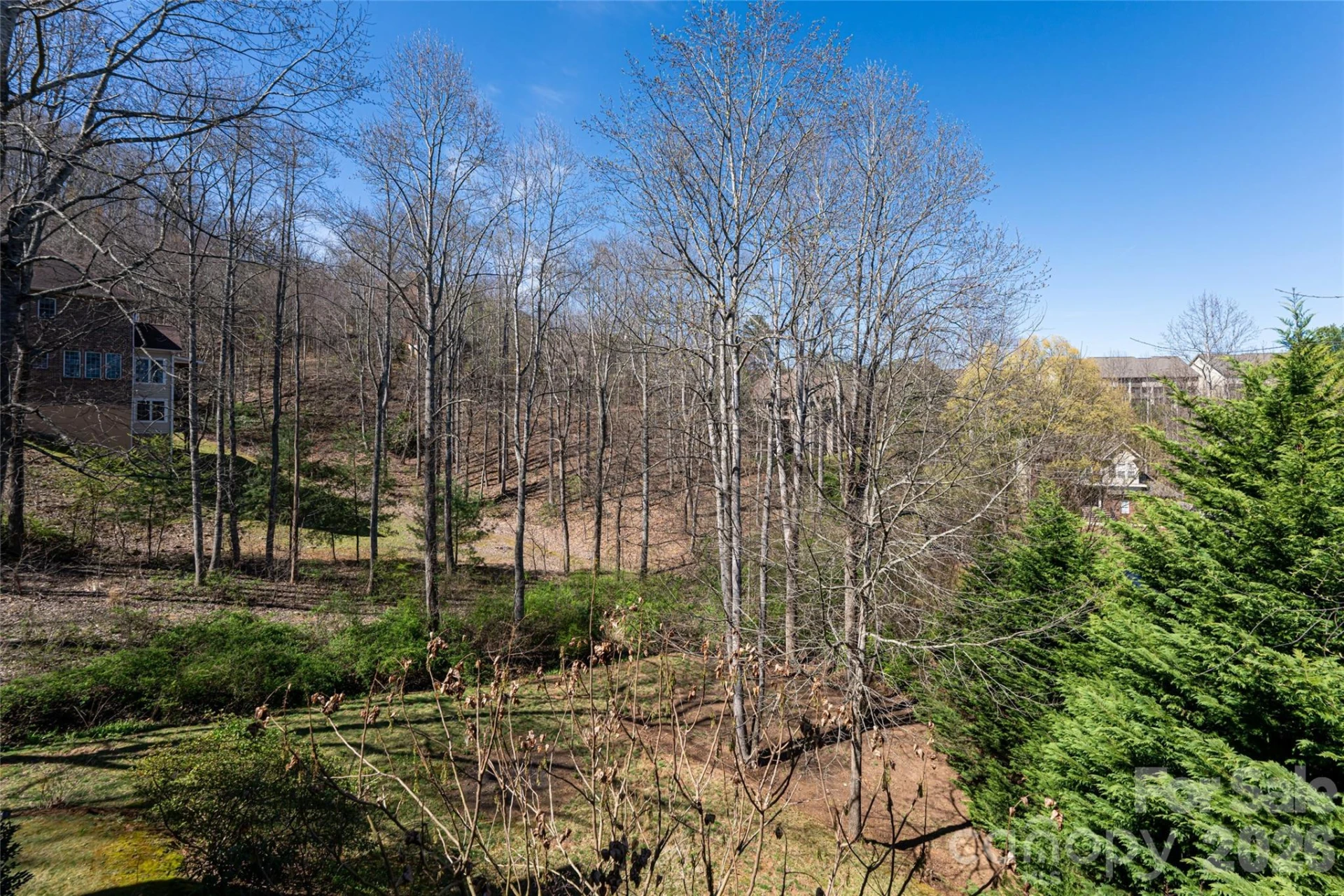 47 Timberwood Drive - Photo 4