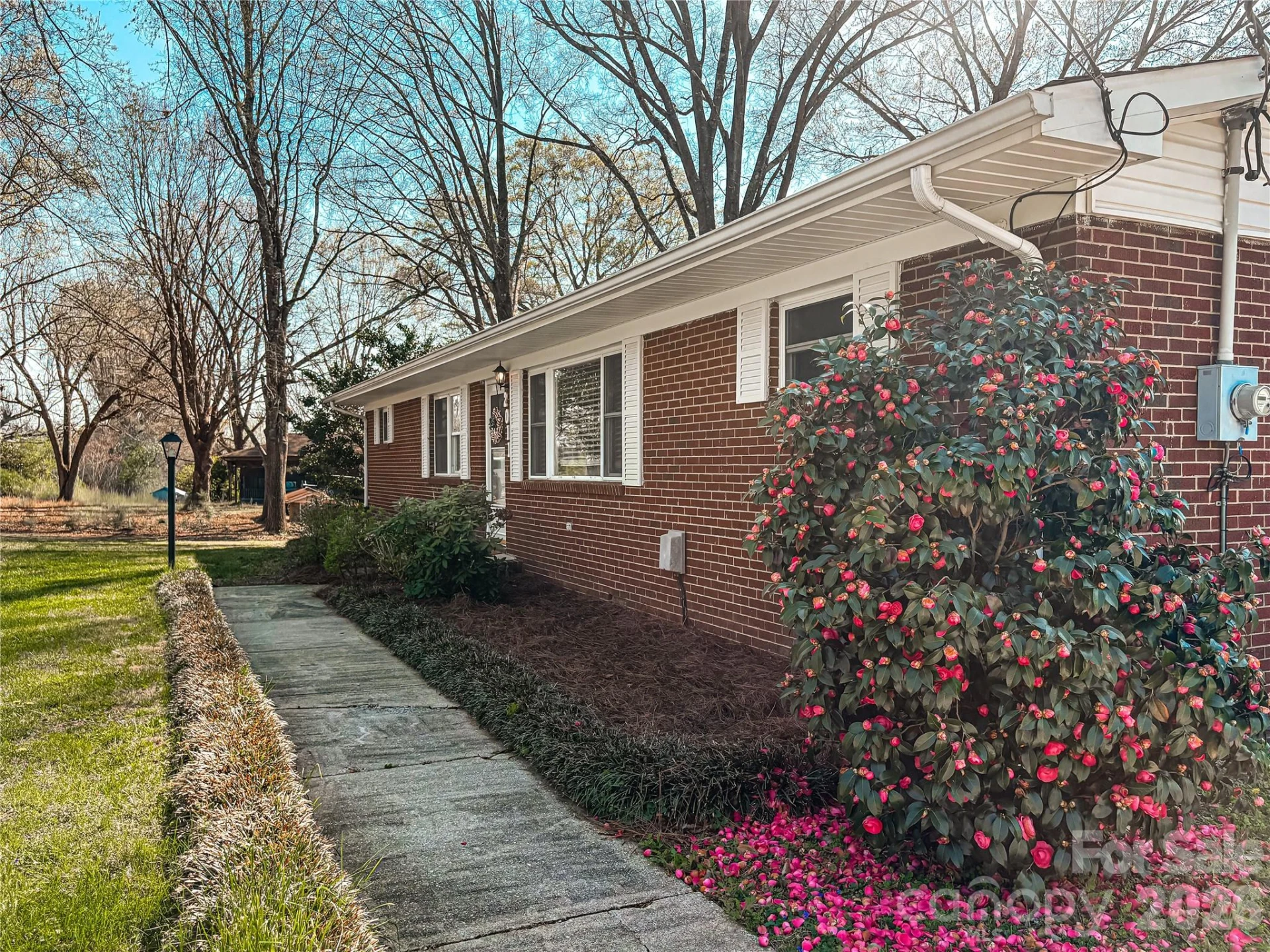 2011 Mountain Creek Road - Photo 4