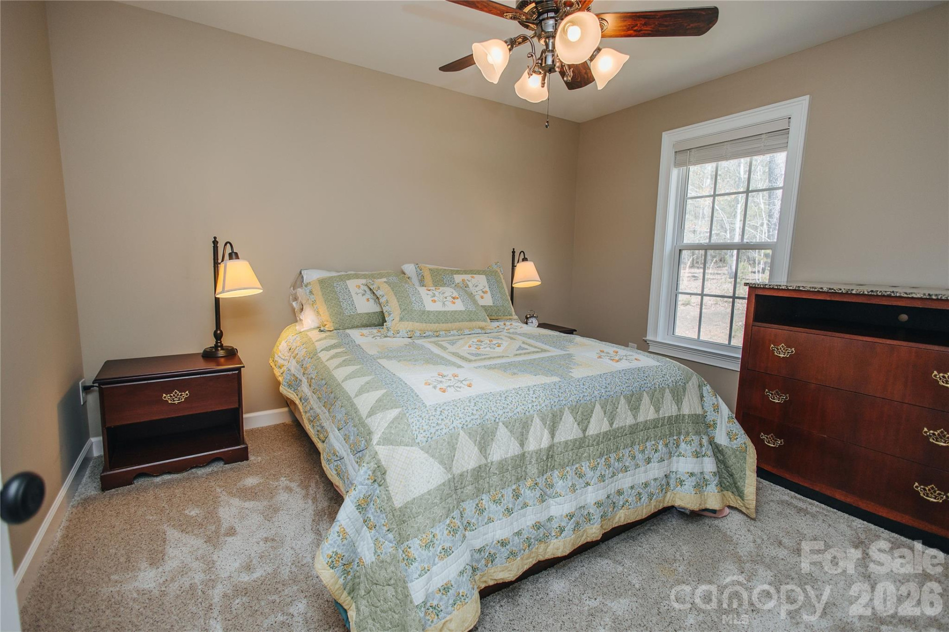 160 Winsome Forest Drive - Photo 21