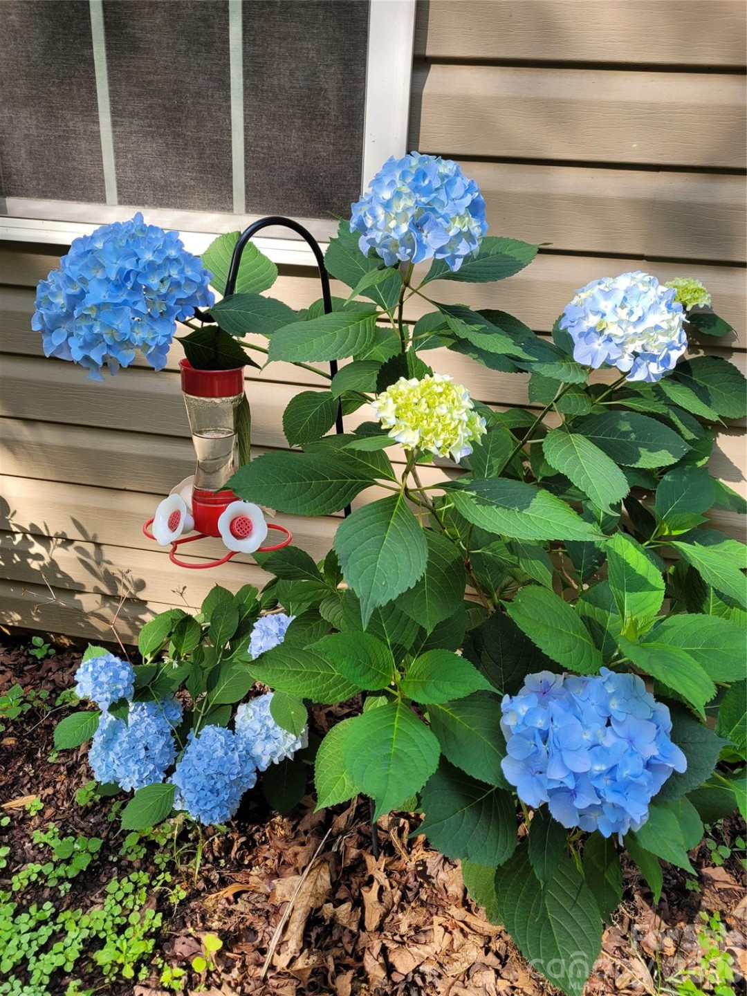 160 Winsome Forest Drive - Photo 31