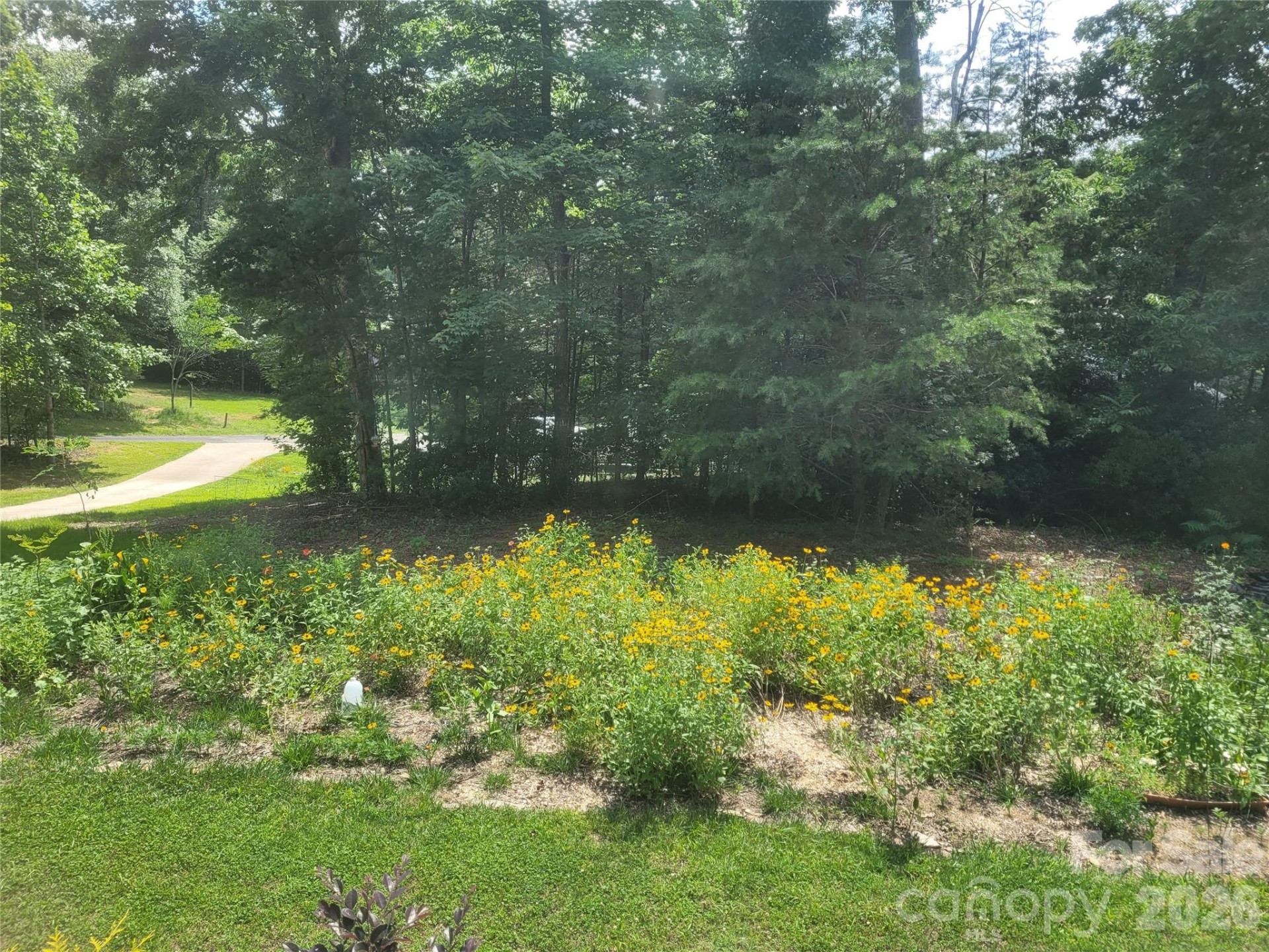 160 Winsome Forest Drive - Photo 34