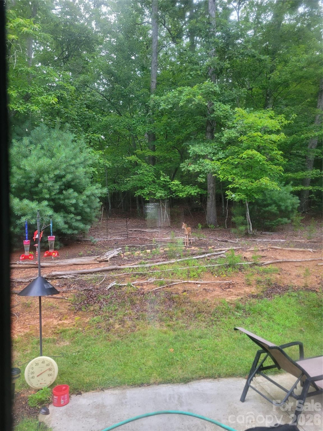 160 Winsome Forest Drive - Photo 36