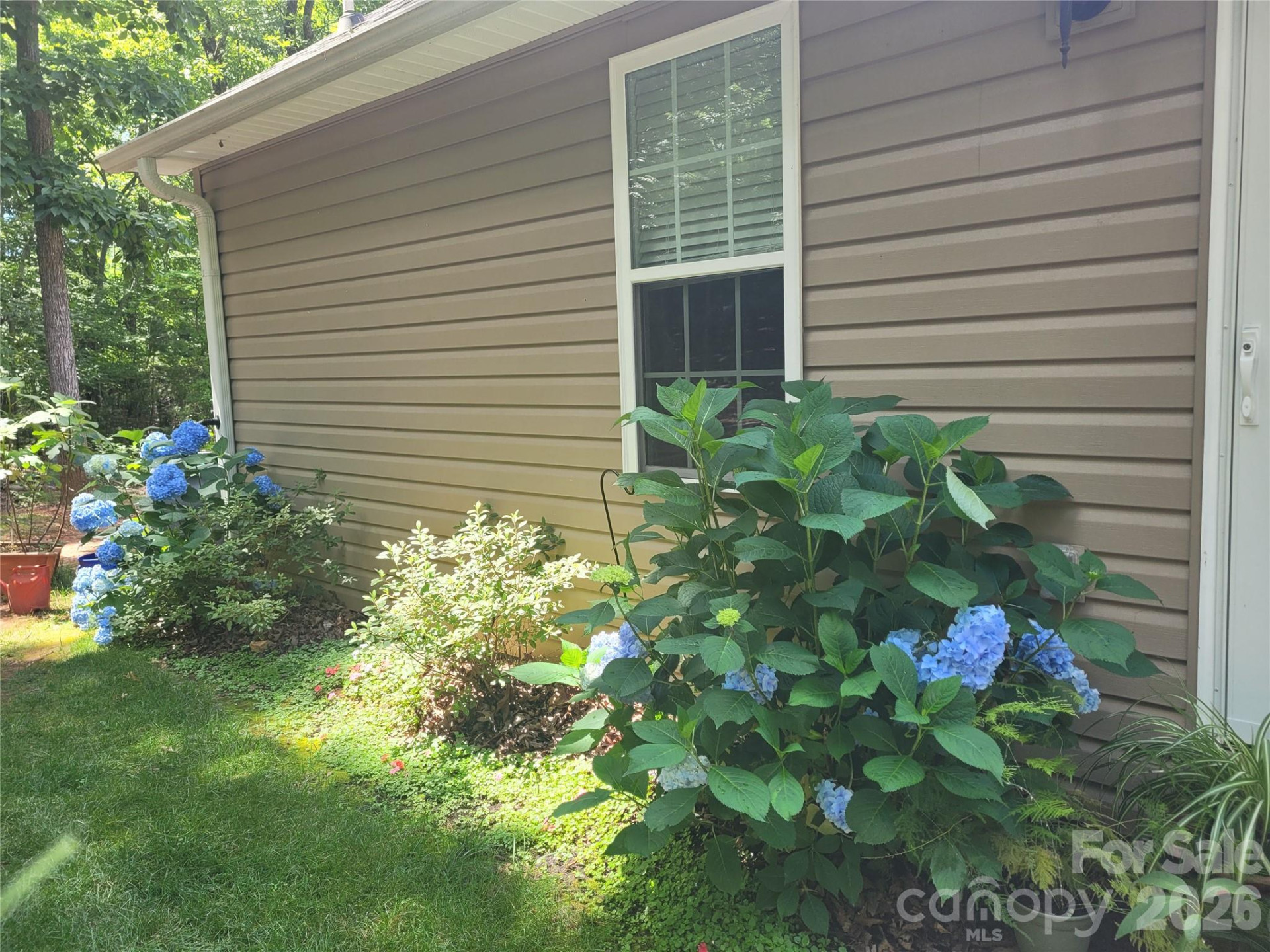 160 Winsome Forest Drive - Photo 37