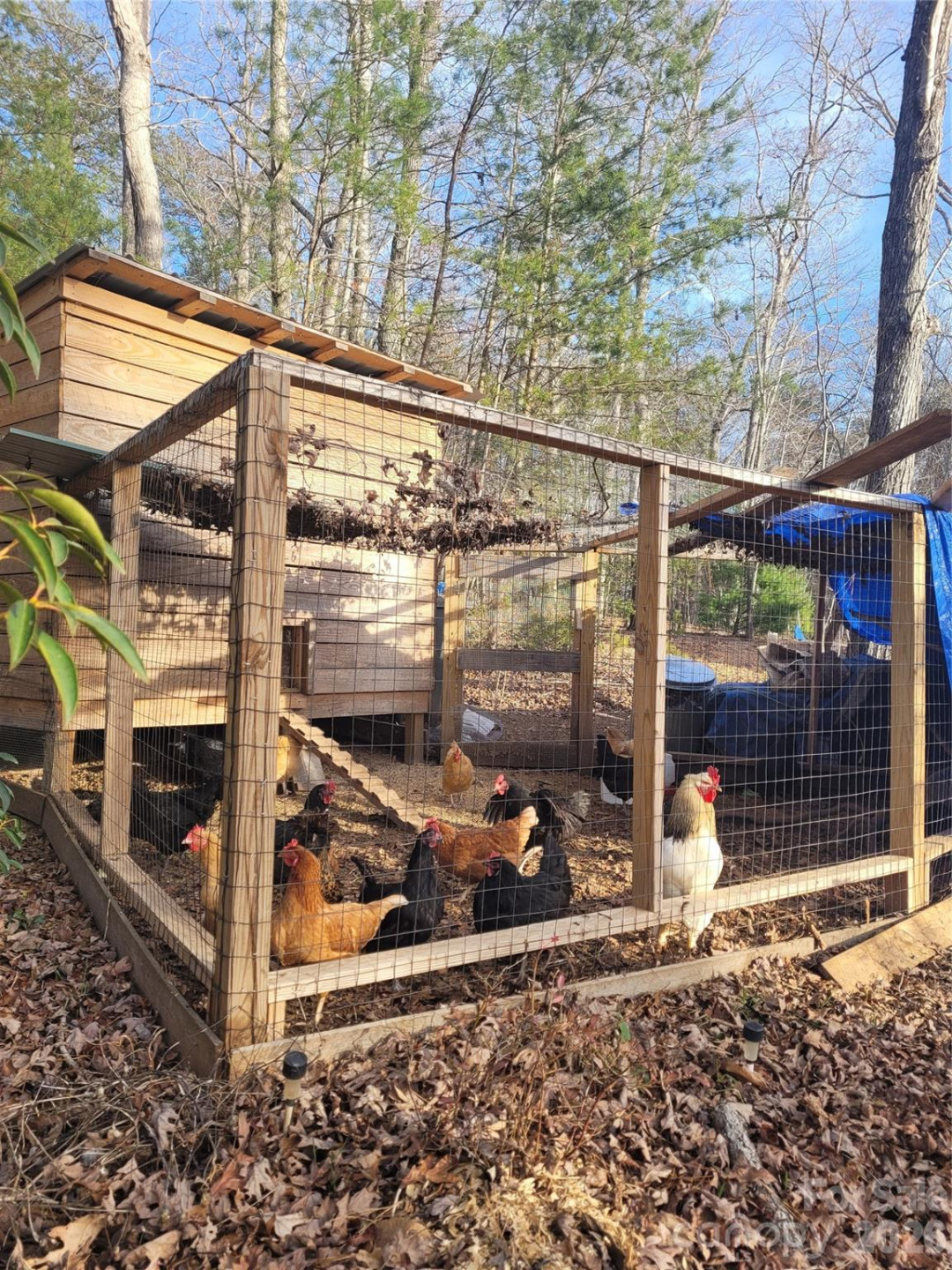 160 Winsome Forest Drive - Photo 39