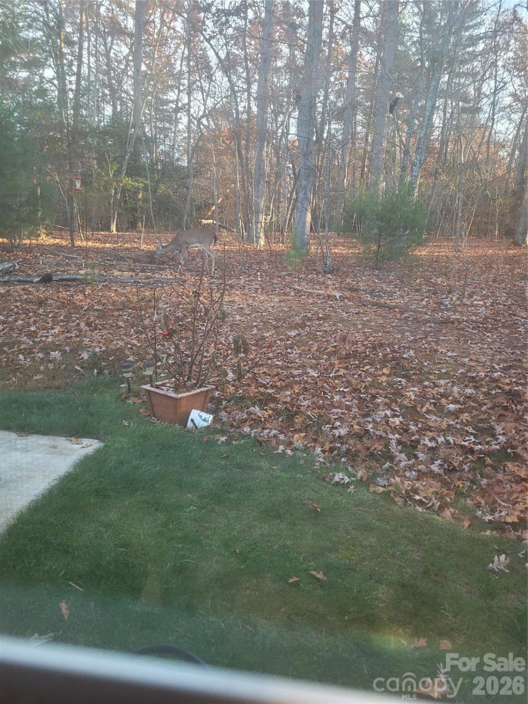 160 Winsome Forest Drive - Photo 40