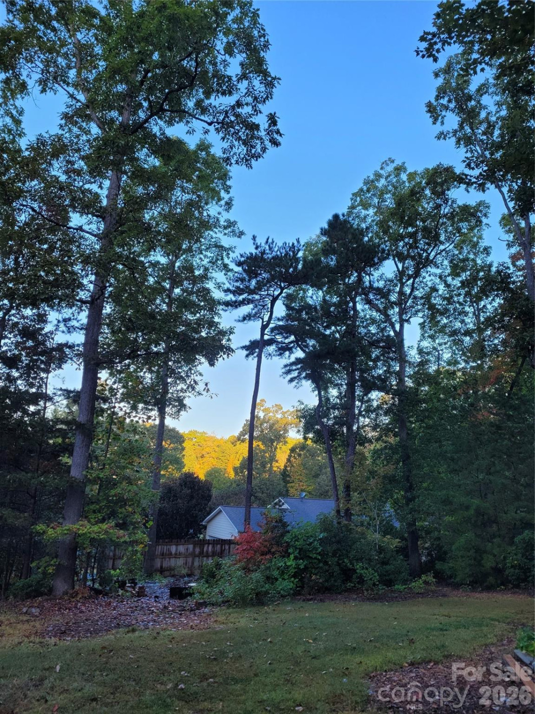 160 Winsome Forest Drive - Photo 42