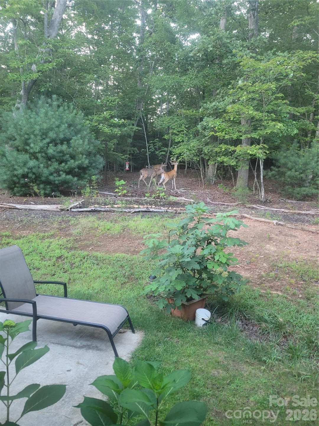 160 Winsome Forest Drive - Photo 44