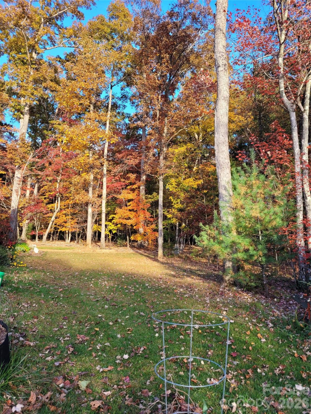 160 Winsome Forest Drive - Photo 45