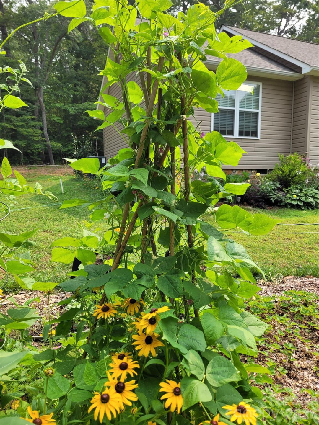 160 Winsome Forest Drive - Photo 46