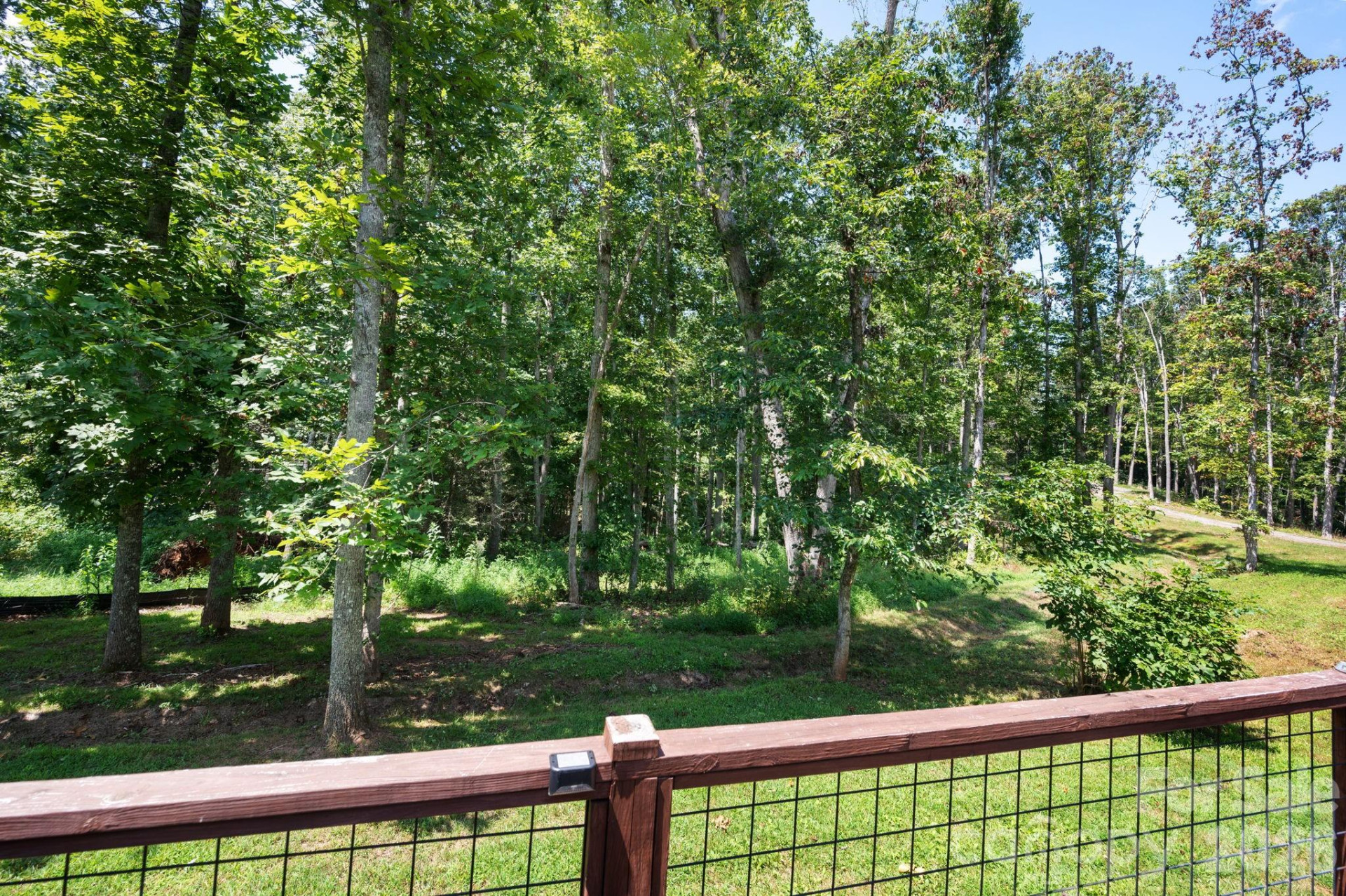 123 Deer Hill Lane - Photo 12